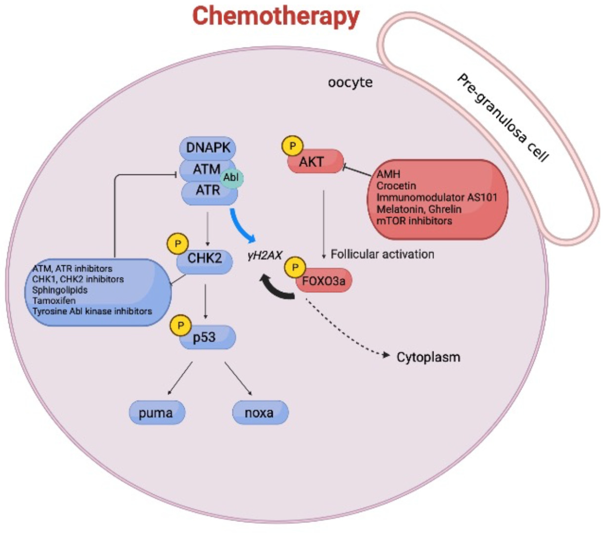 Ijms 23 14379 g002 Ijms 23 14379 g002