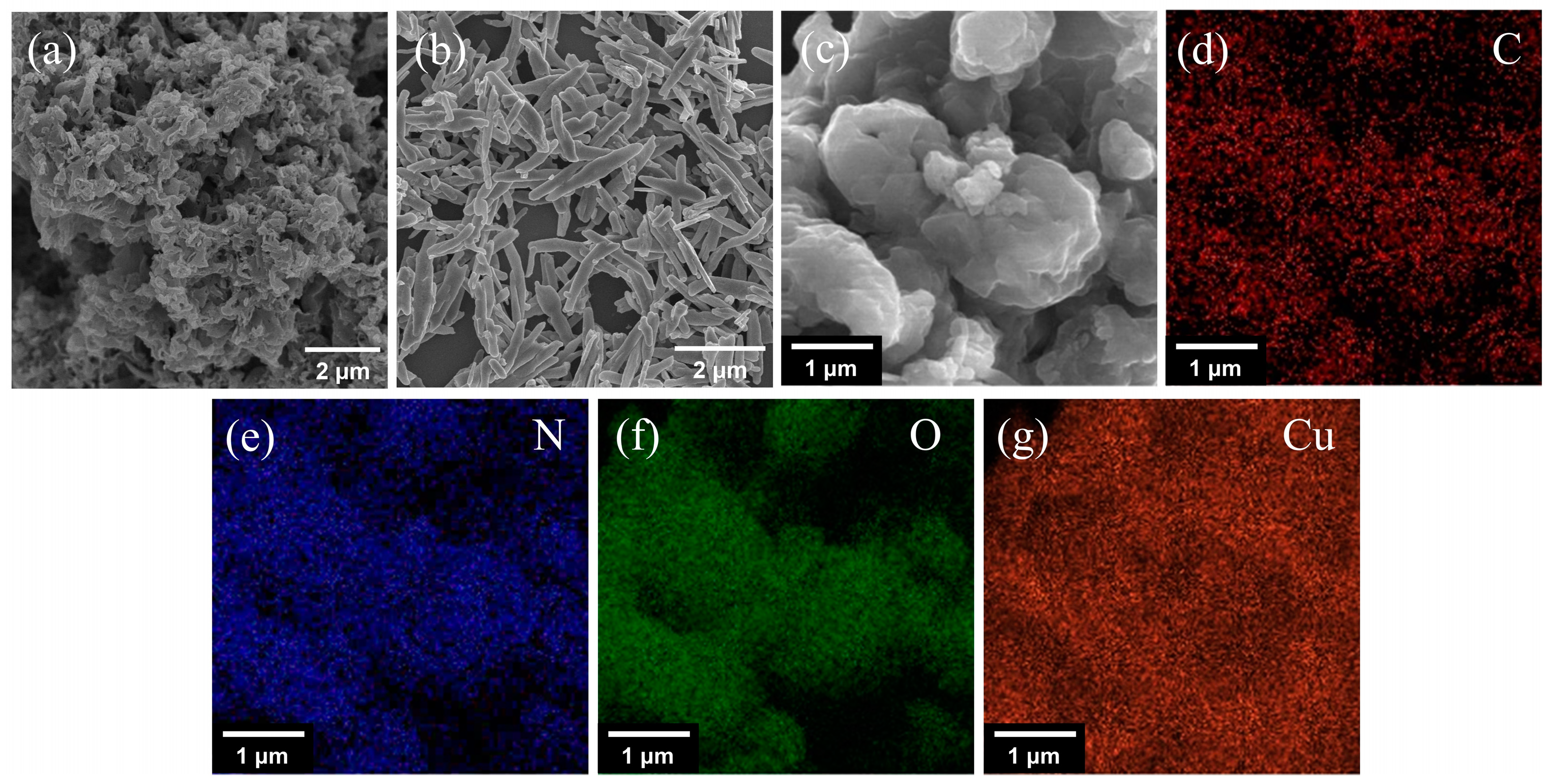 Ijms 23 14381 g006 Ijms 23 14381 g006