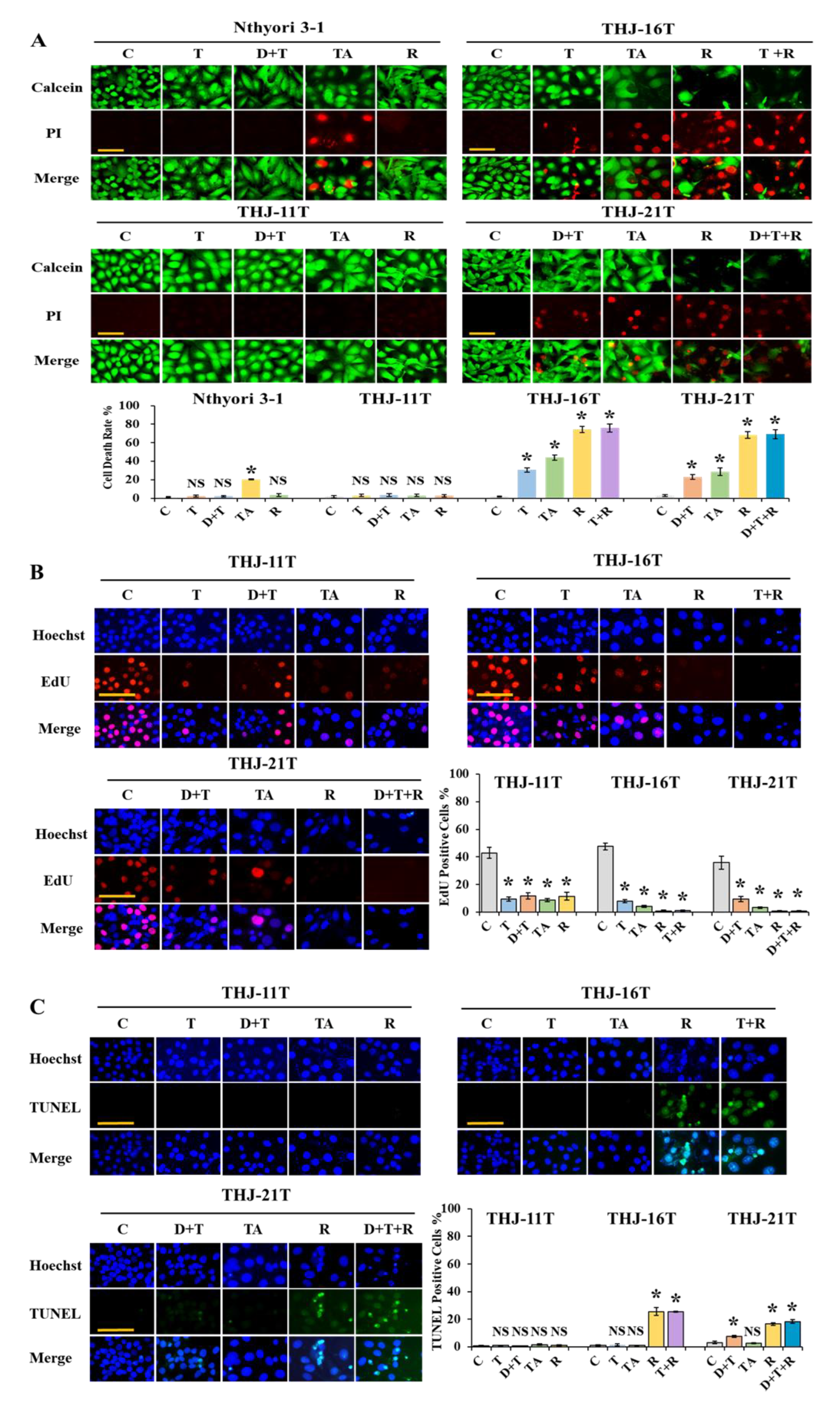 Ijms 23 14385 g001 Ijms 23 14385 g001