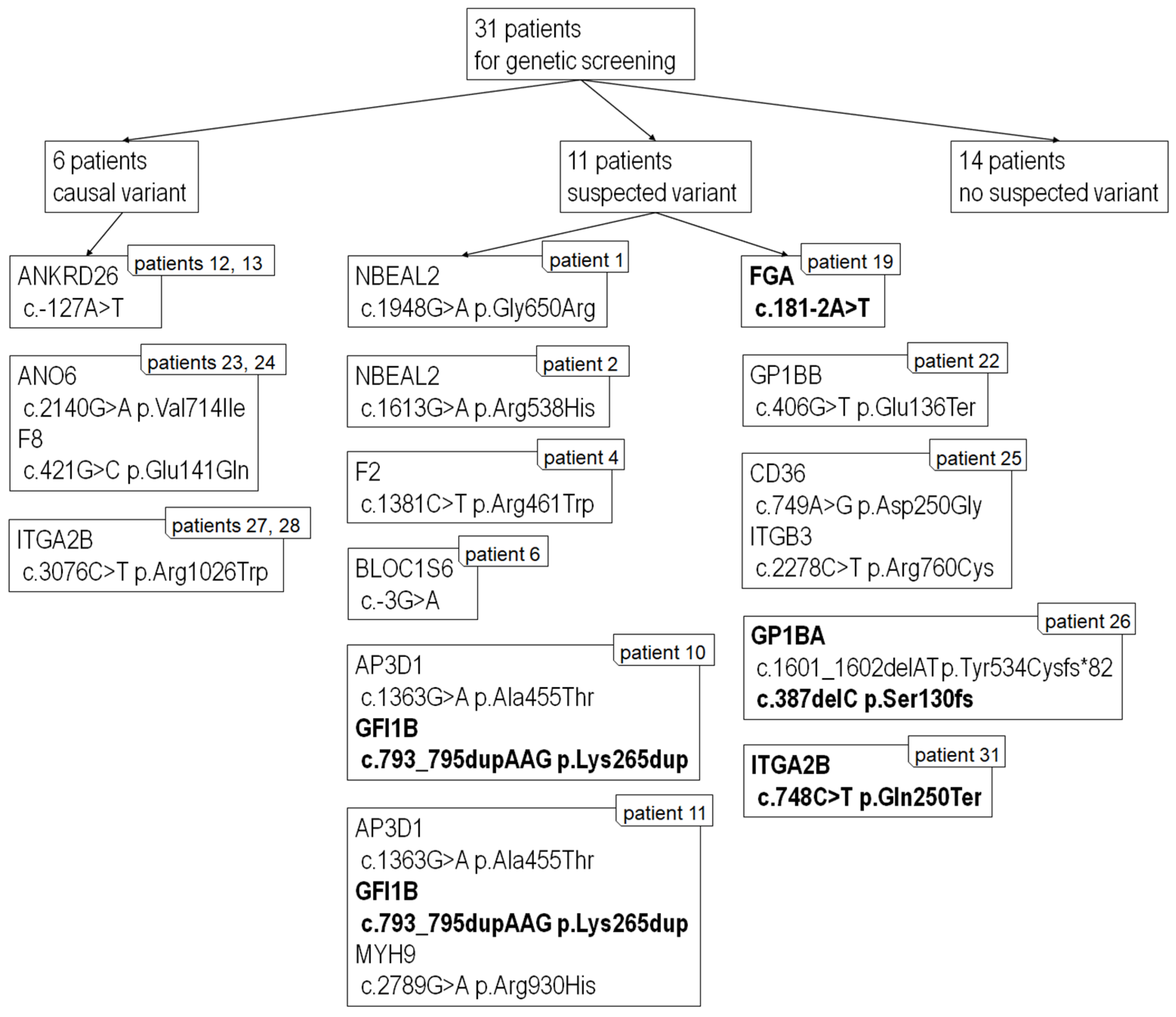 Ijms 23 14386 g003 Ijms 23 14386 g003