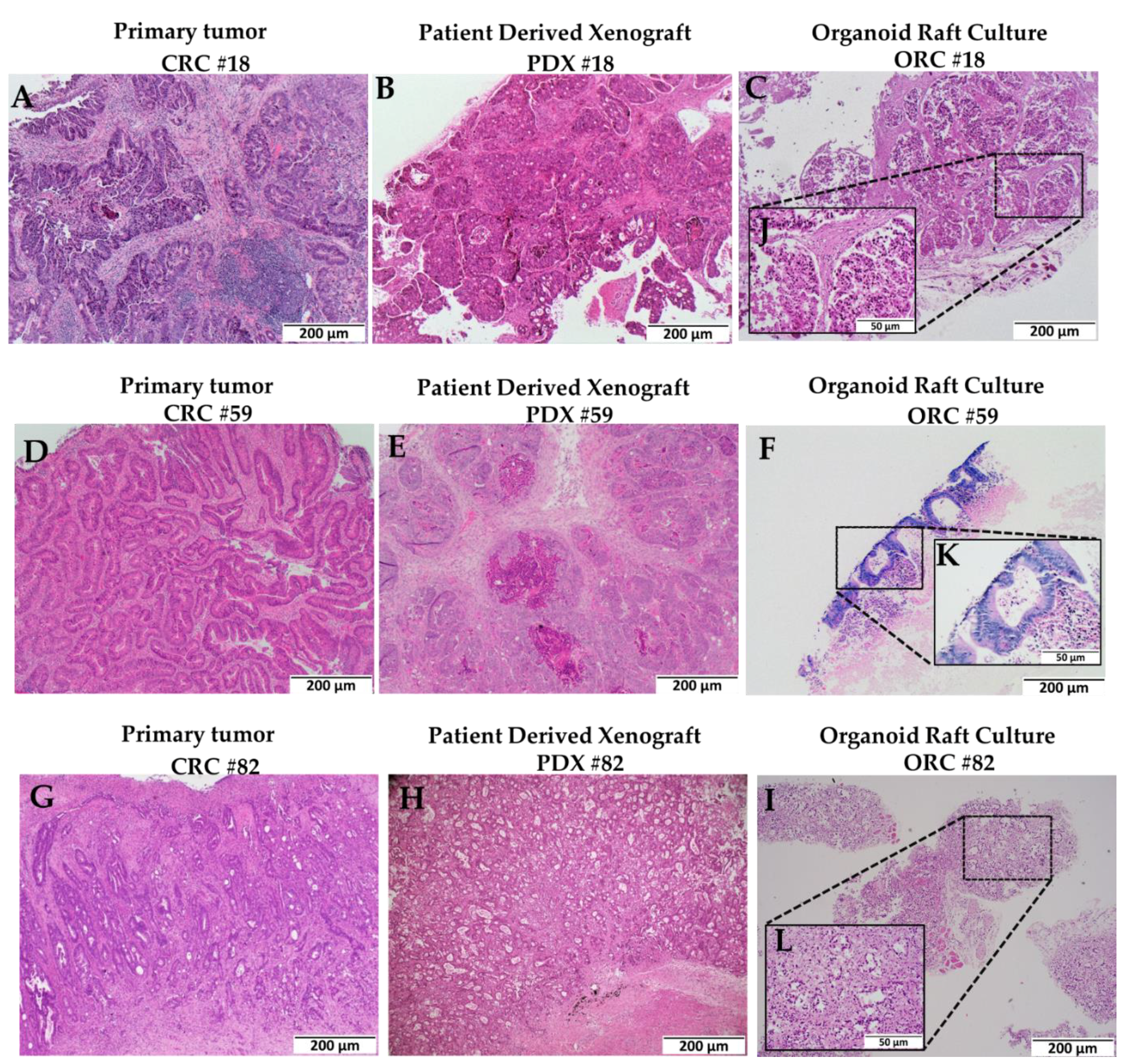 Ijms 23 14392 g002 Ijms 23 14392 g002