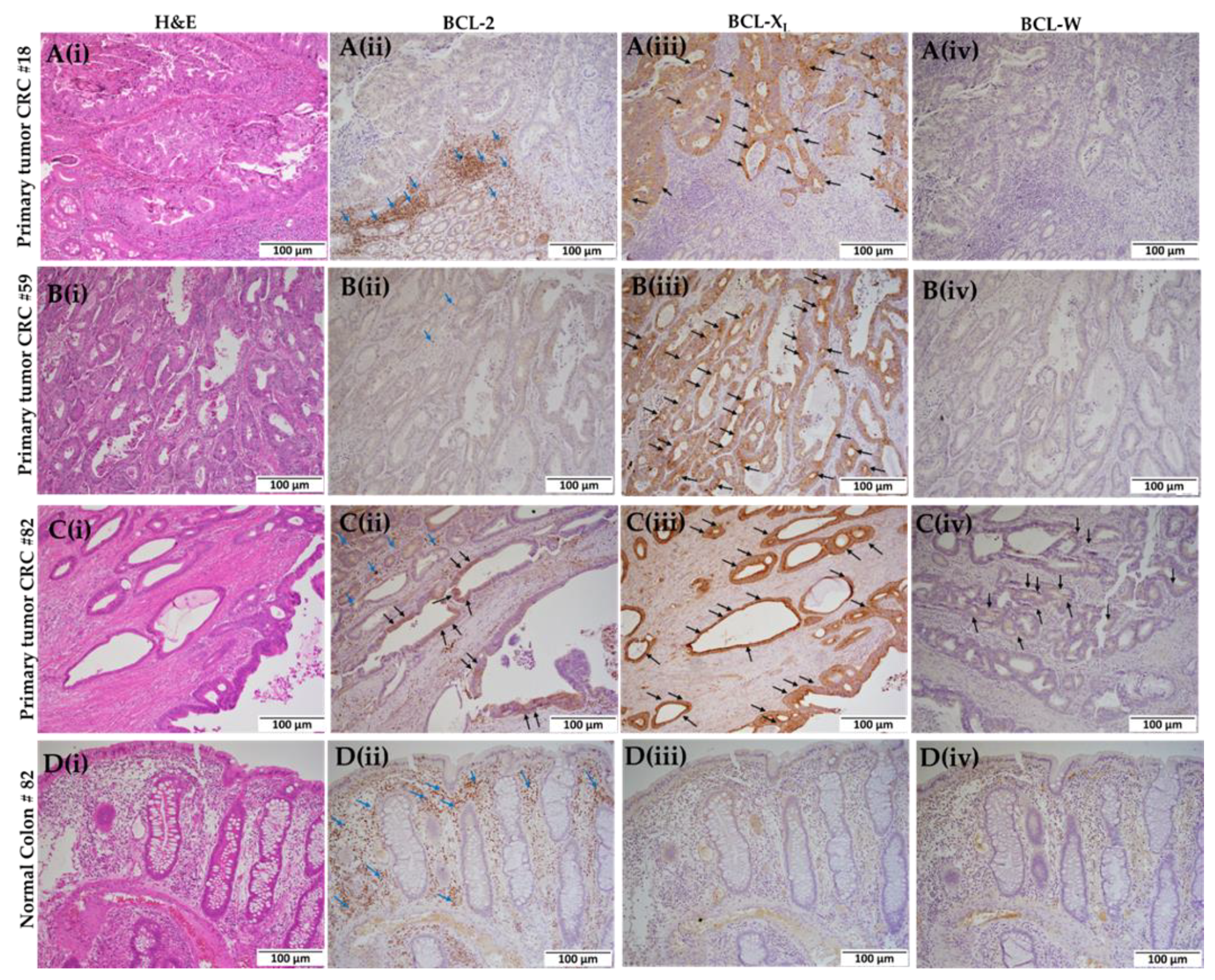 Ijms 23 14392 g003 Ijms 23 14392 g003