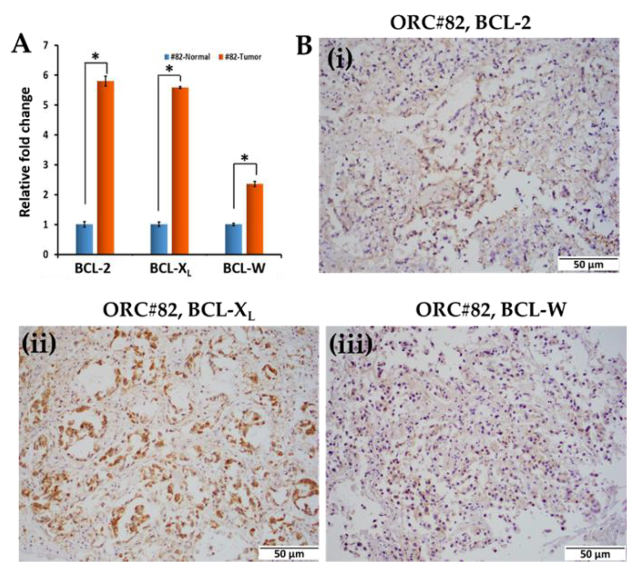 Ijms 23 14392 g004 Ijms 23 14392 g004