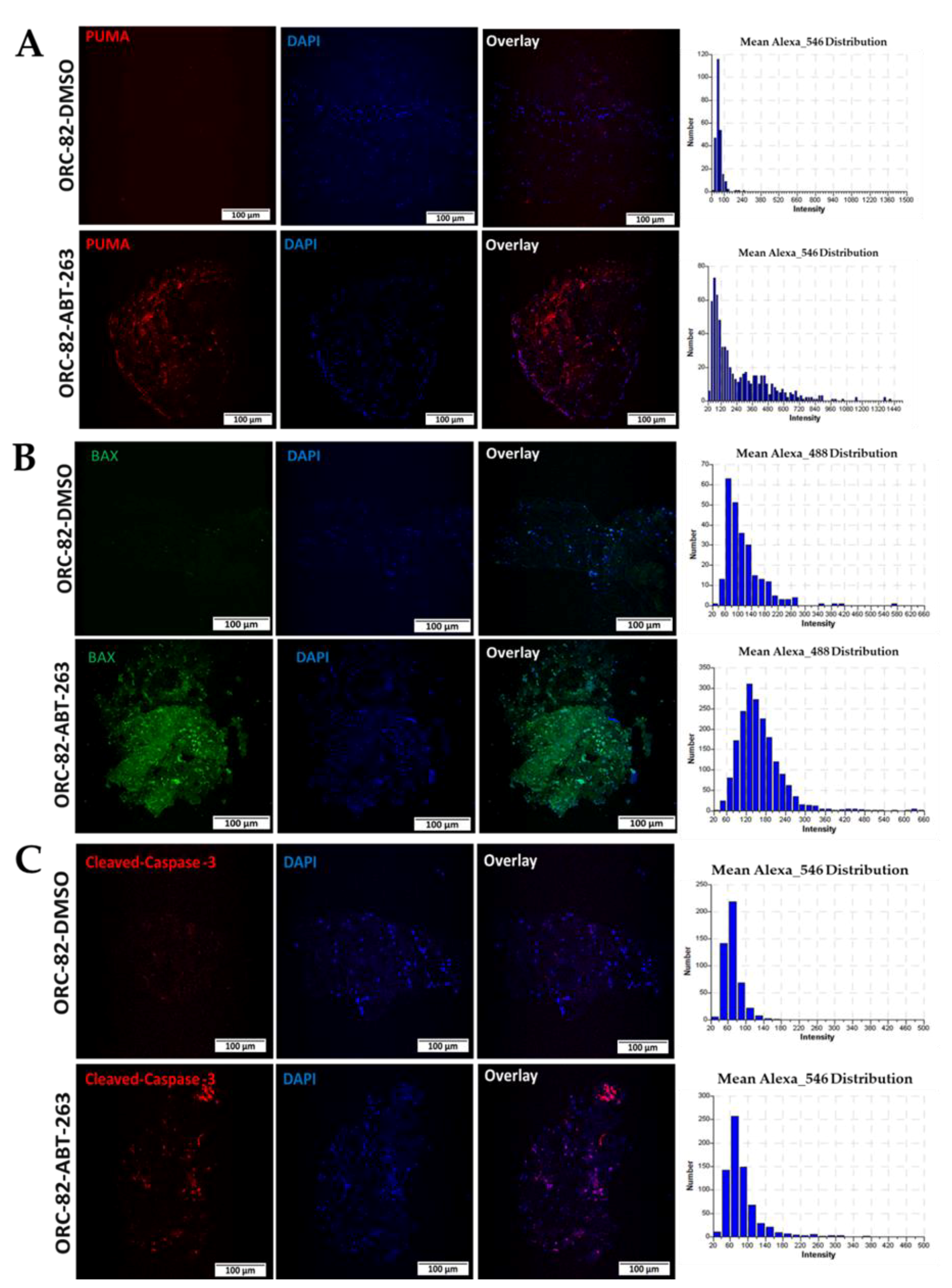 Ijms 23 14392 g007 Ijms 23 14392 g007