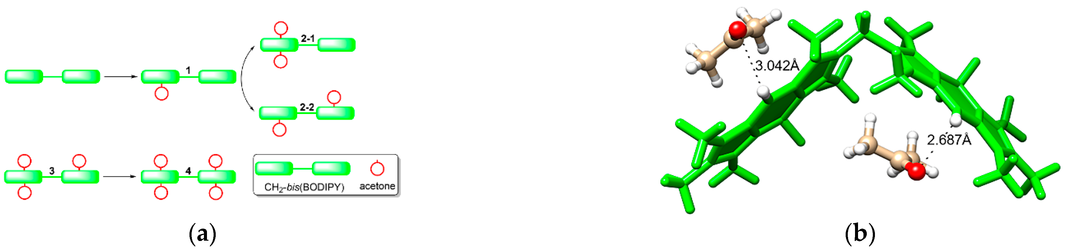 Ijms 23 14402 g006 Ijms 23 14402 g006