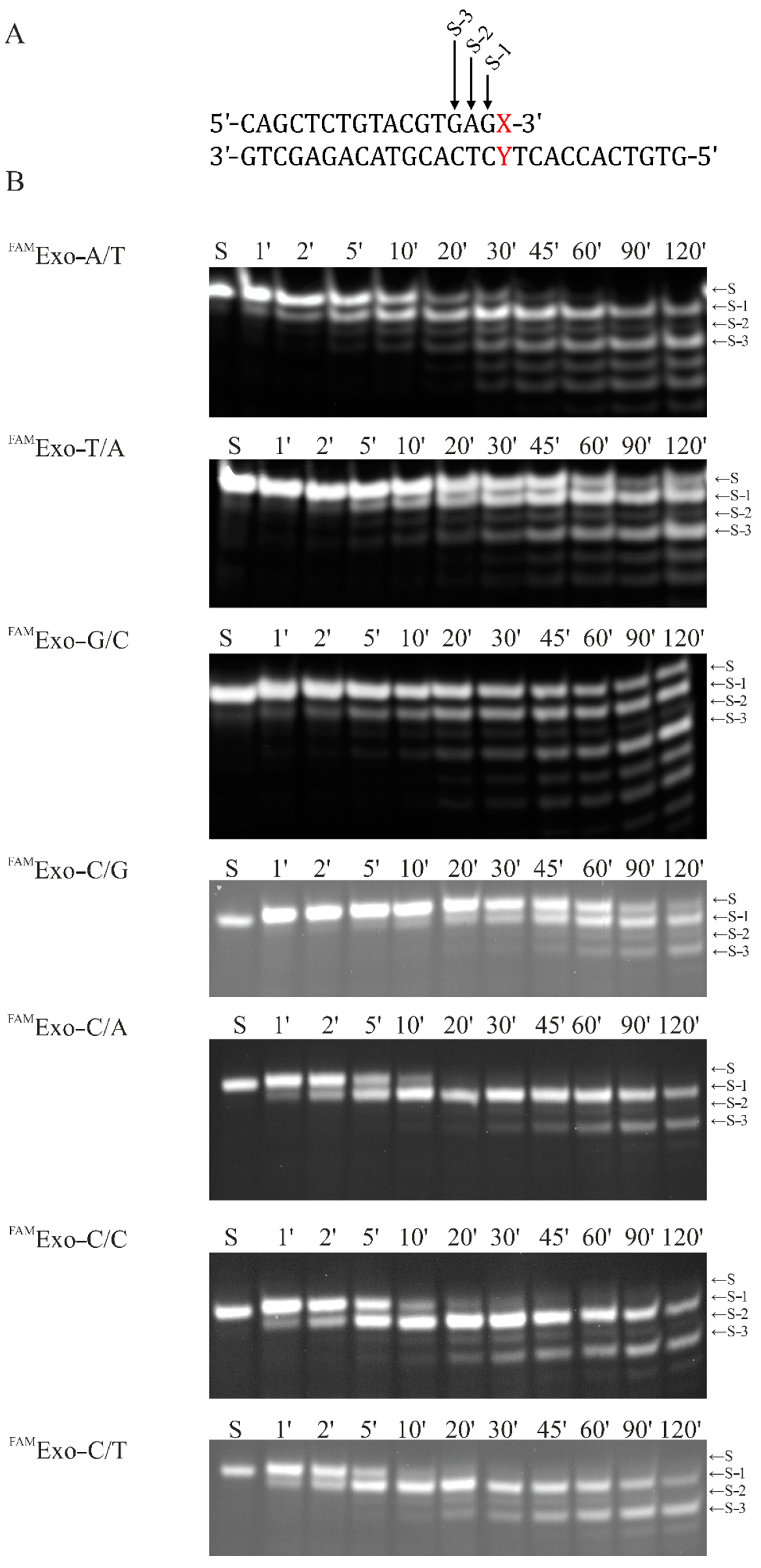 Ijms 23 14404 g002 Ijms 23 14404 g002