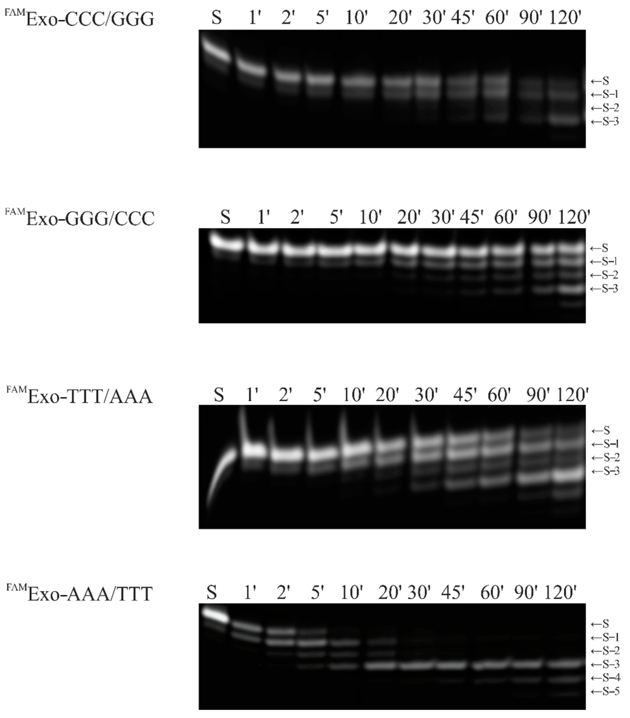 Ijms 23 14404 g003 Ijms 23 14404 g003