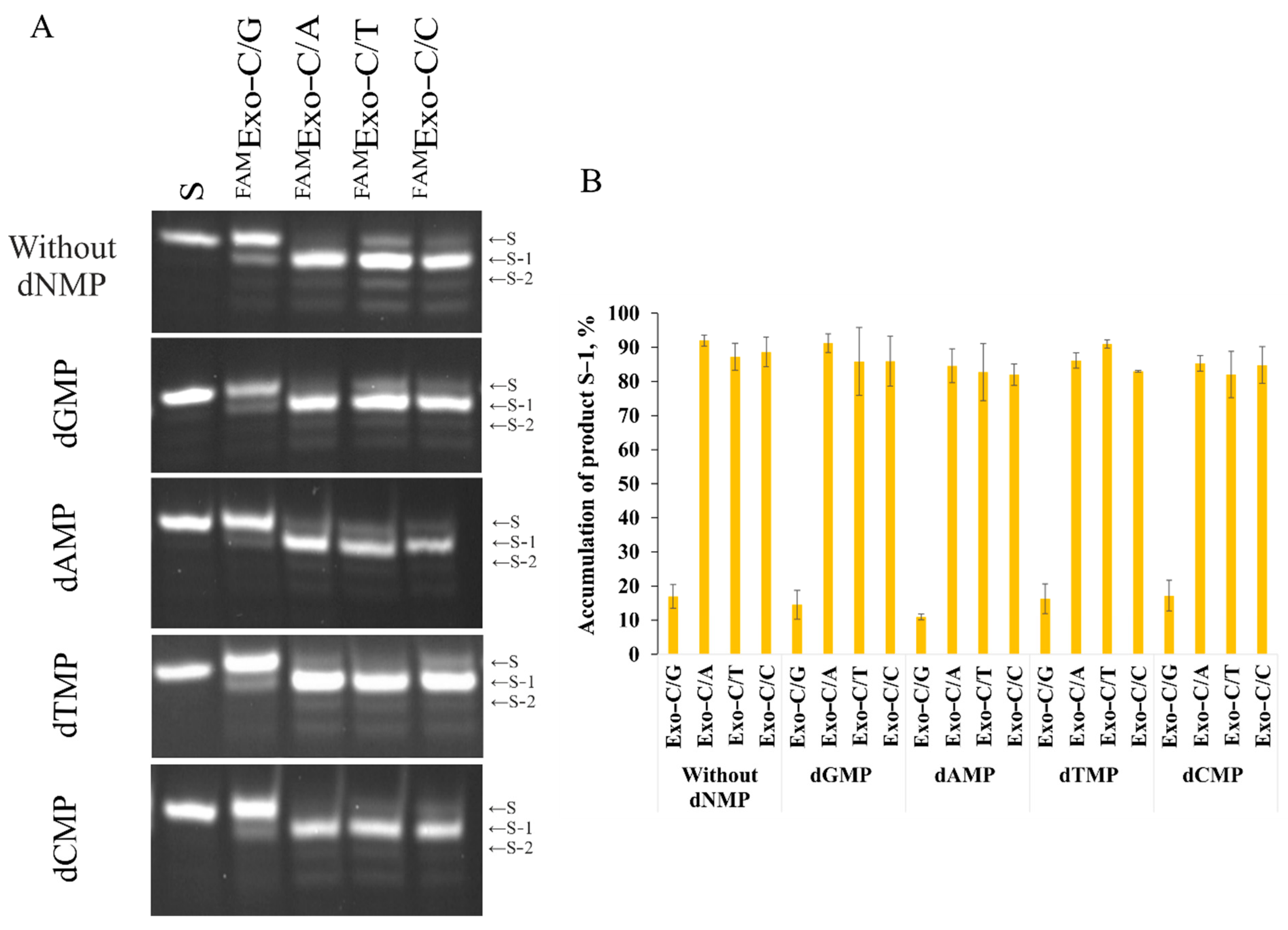 Ijms 23 14404 g005 Ijms 23 14404 g005