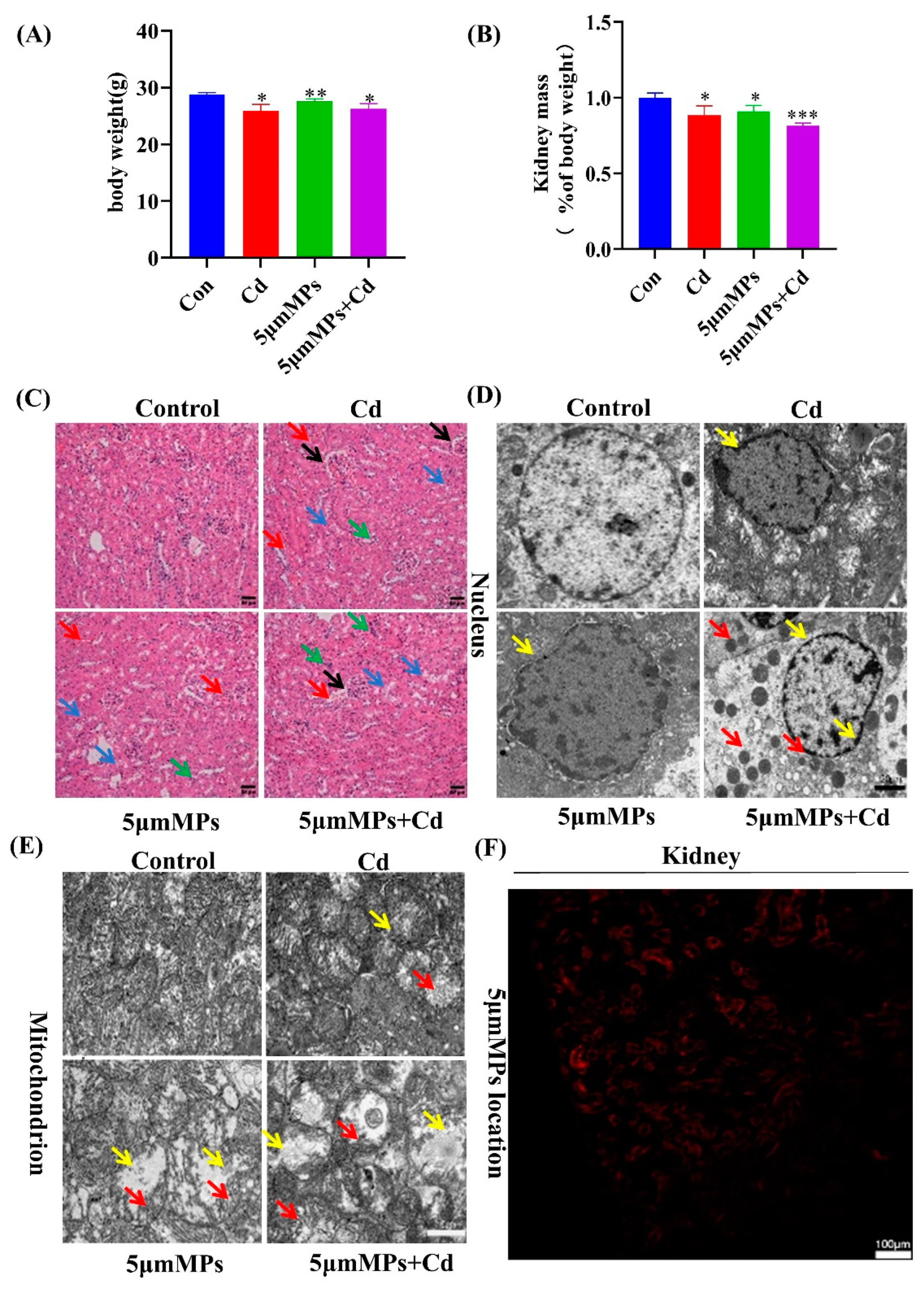 Ijms 23 14411 g001 Ijms 23 14411 g001
