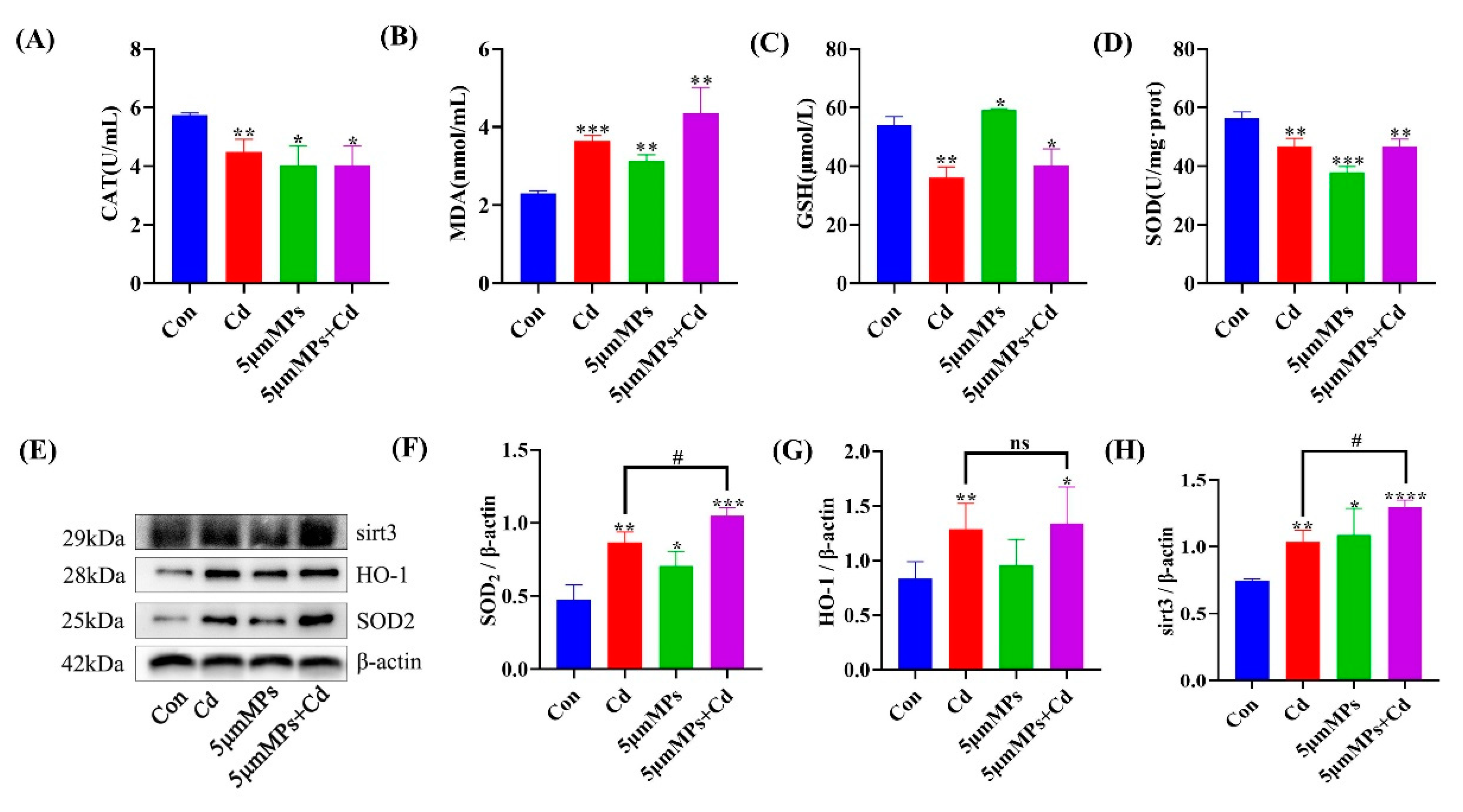 Ijms 23 14411 g002 Ijms 23 14411 g002