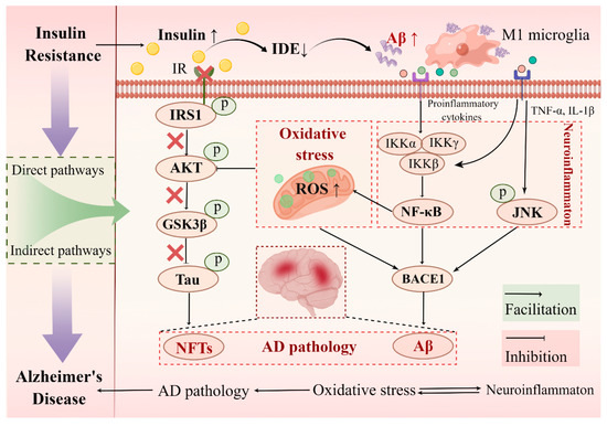 ＹＯＵ様 R 新品】ここひえ 品番 FN005942 型名19013-J （白) 公式】ここひえ R7