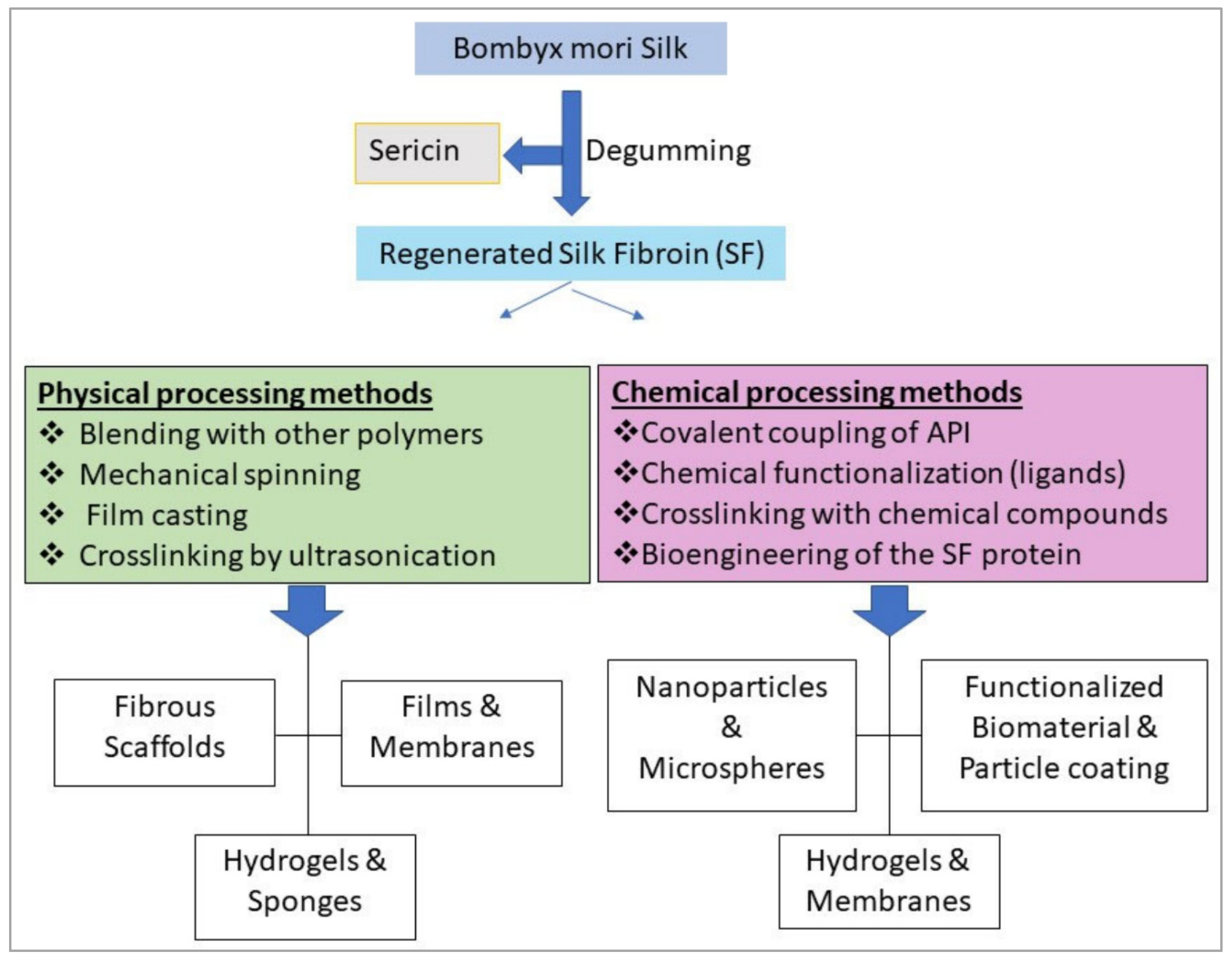 Ijms 23 14421 g001 Ijms 23 14421 g001