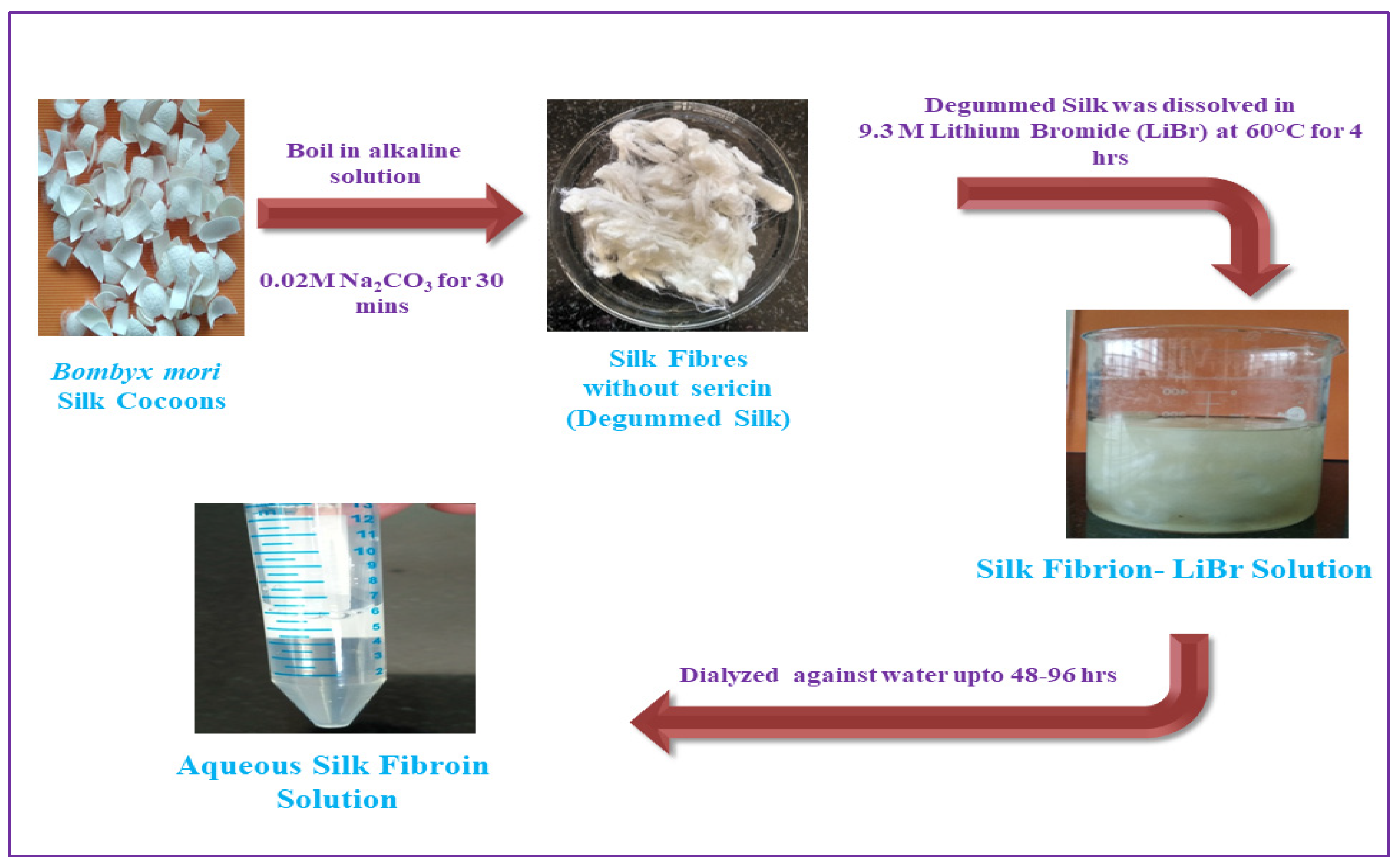 Ijms 23 14421 g002 Ijms 23 14421 g002