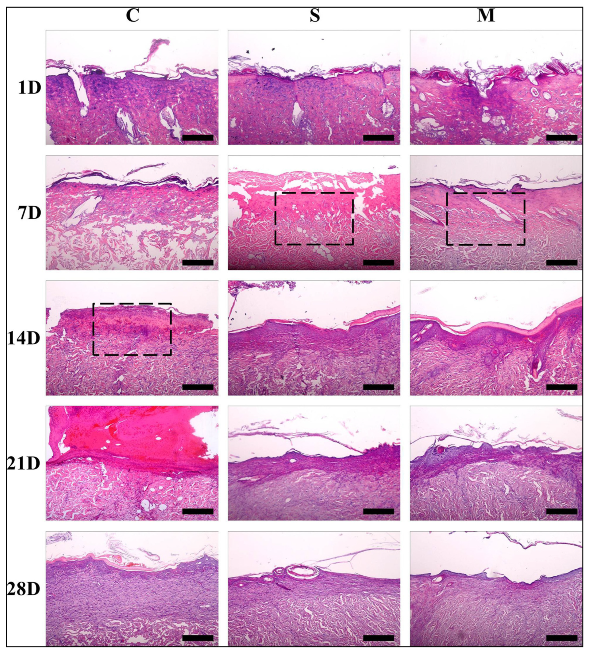 Ijms 23 14421 g005 Ijms 23 14421 g005