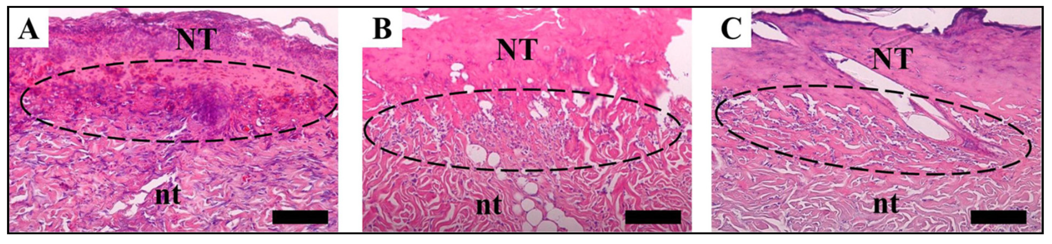 Ijms 23 14421 g006 Ijms 23 14421 g006