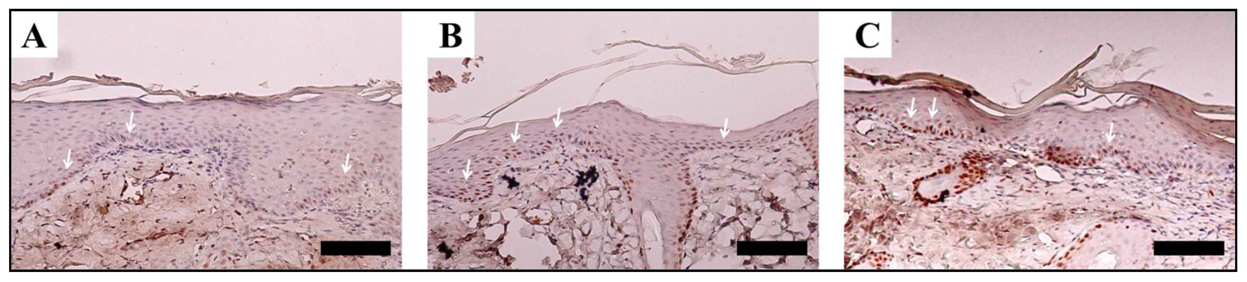 Ijms 23 14421 g007 Ijms 23 14421 g007