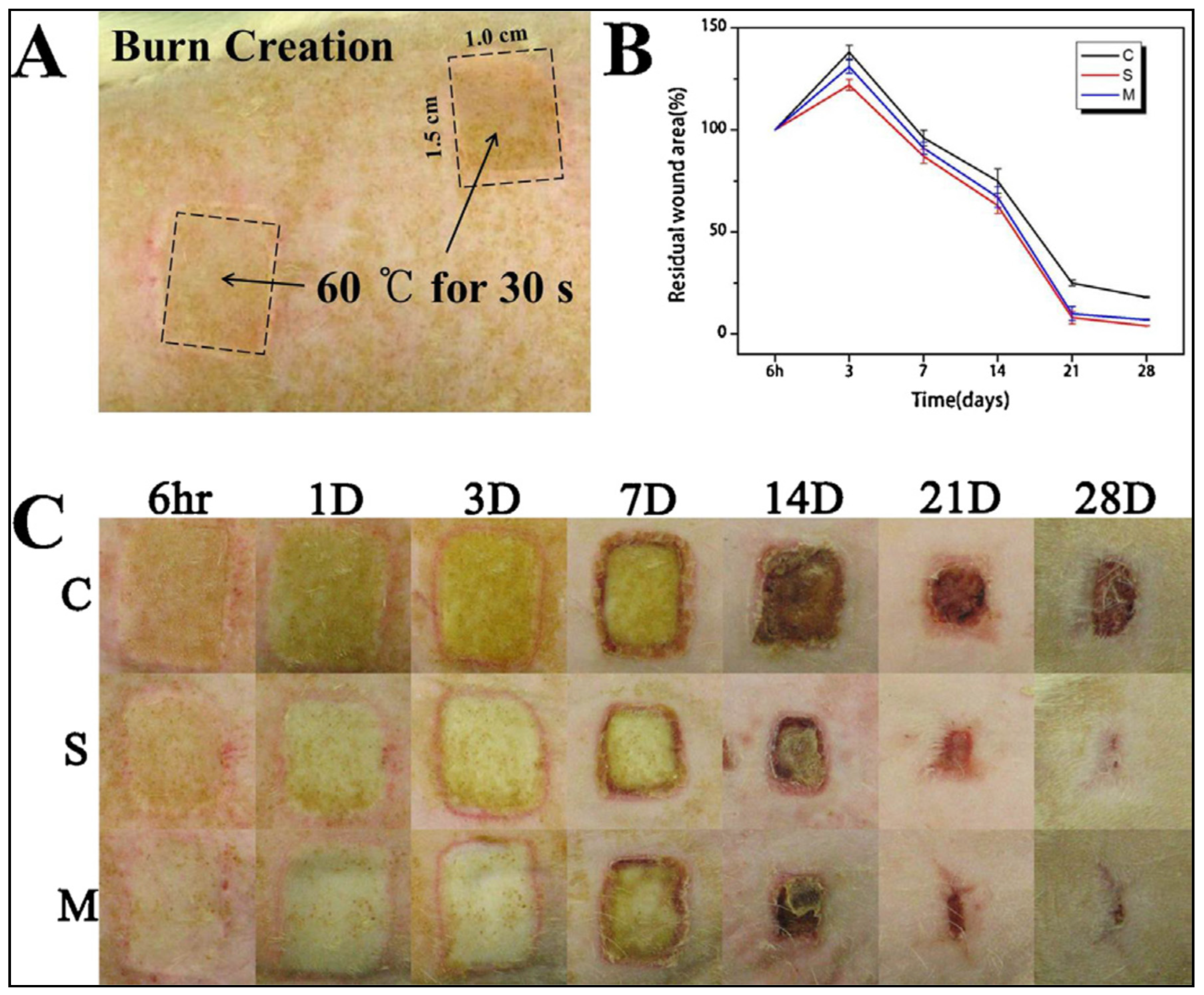 Ijms 23 14421 g008 Ijms 23 14421 g008