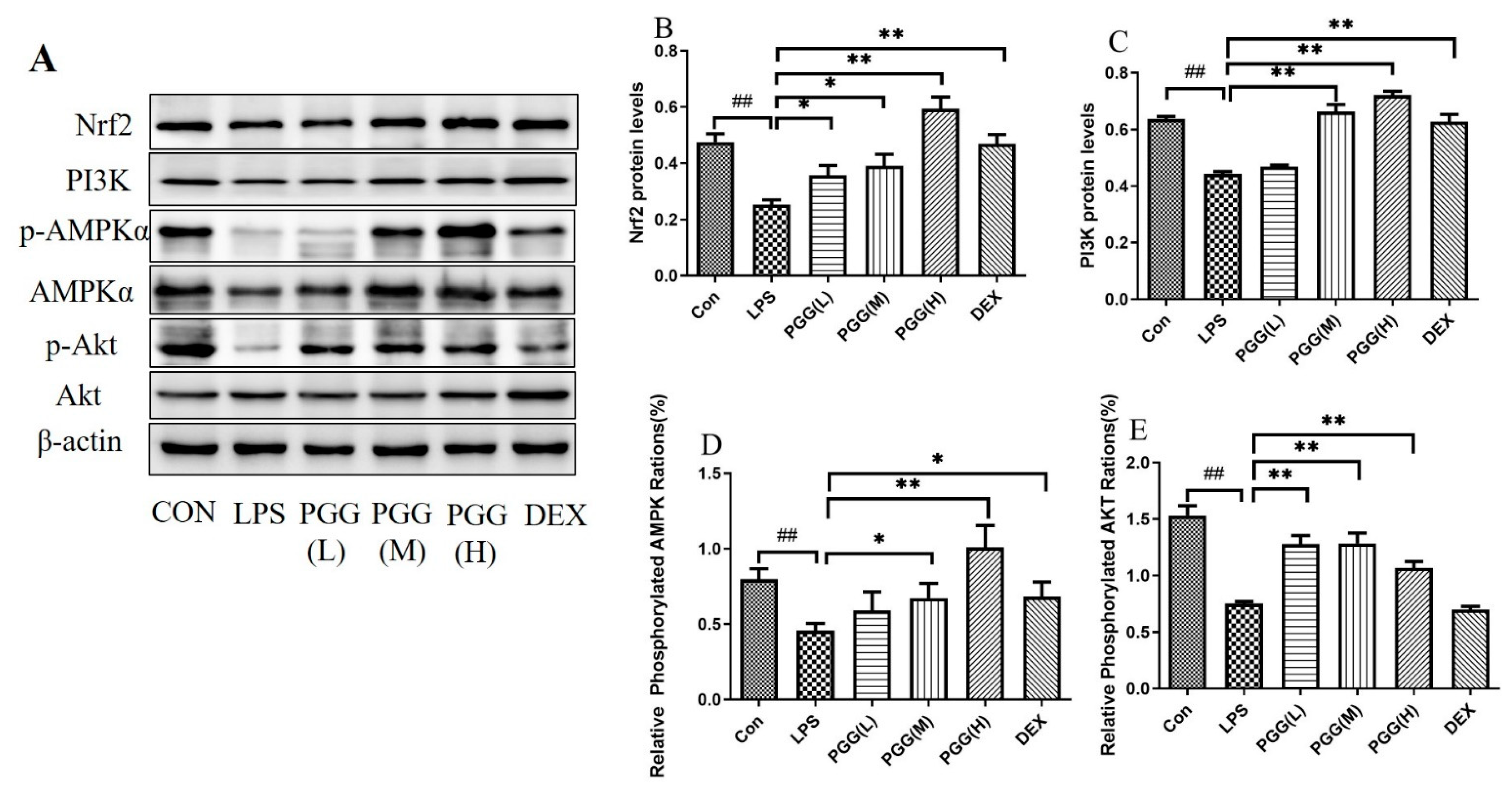 Ijms 23 14423 g003 Ijms 23 14423 g003
