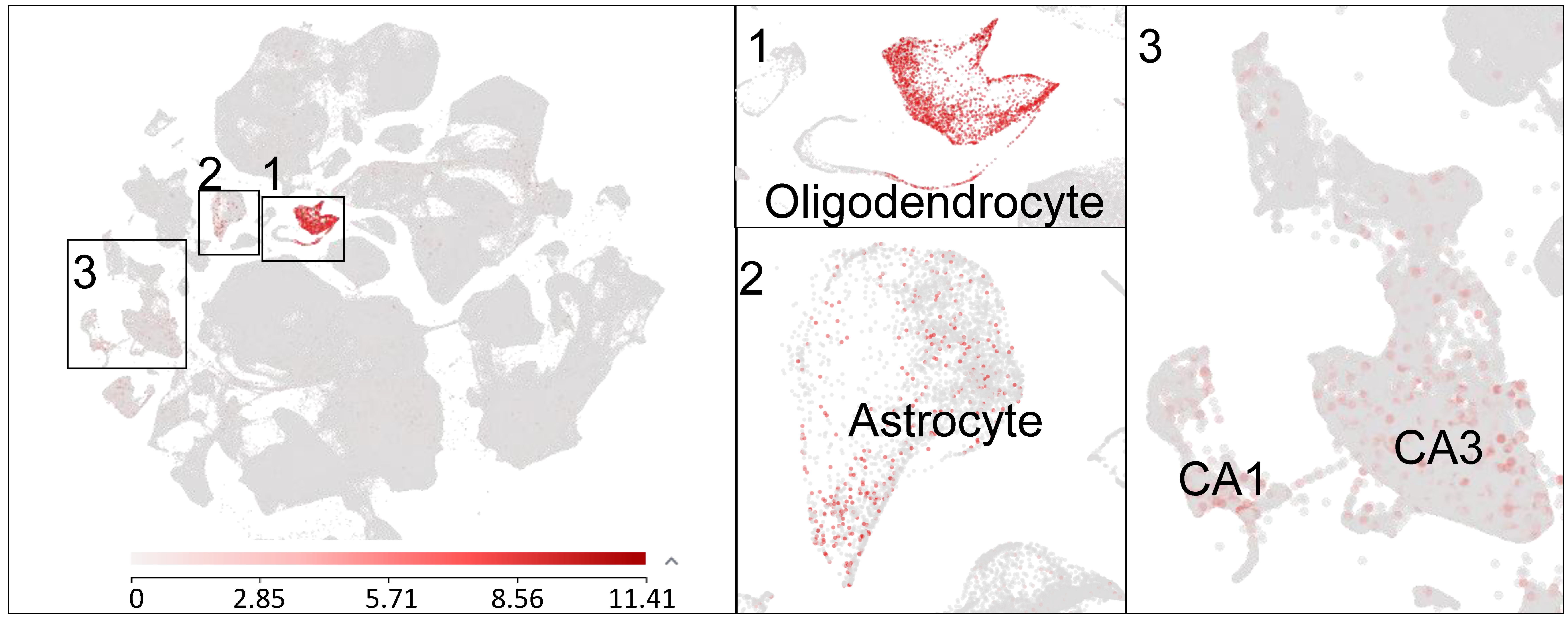 Ijms 23 14426 g001 Ijms 23 14426 g001