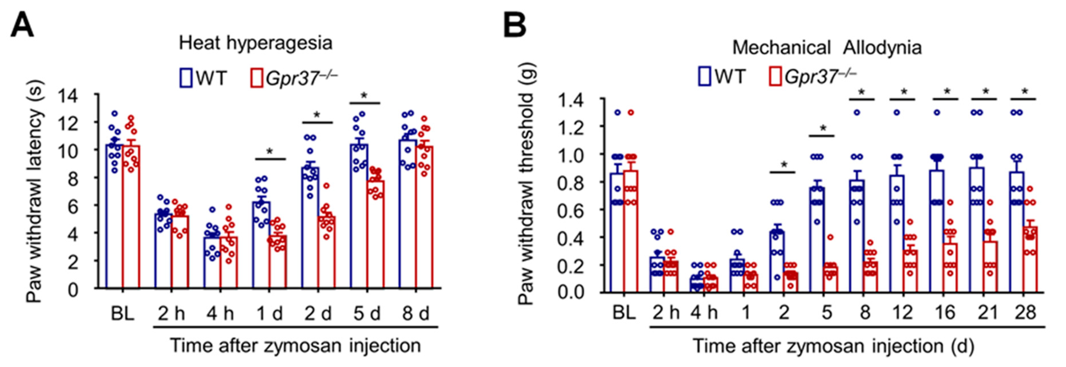 Ijms 23 14426 g004 Ijms 23 14426 g004