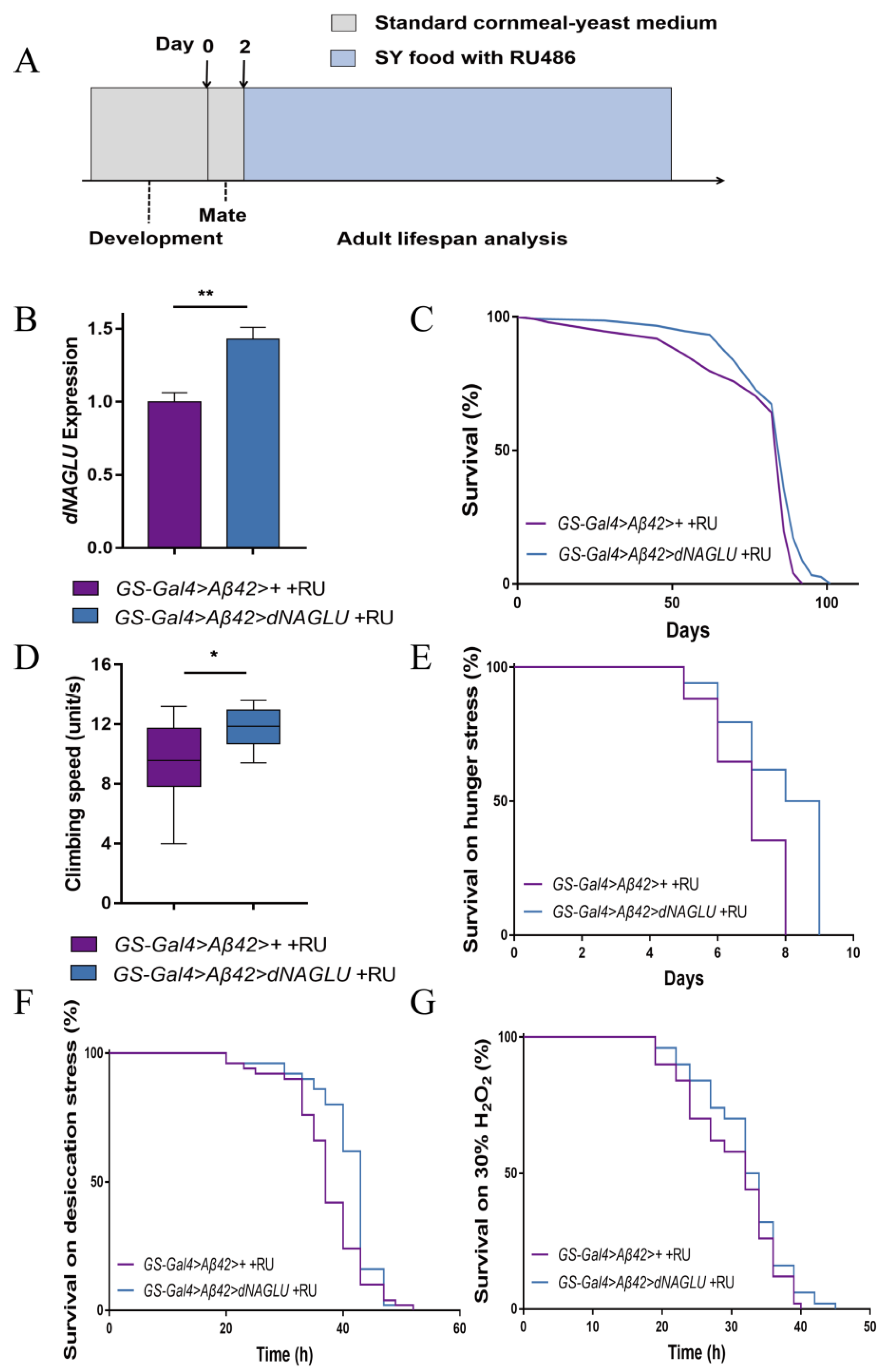 Ijms 23 14433 g003 Ijms 23 14433 g003