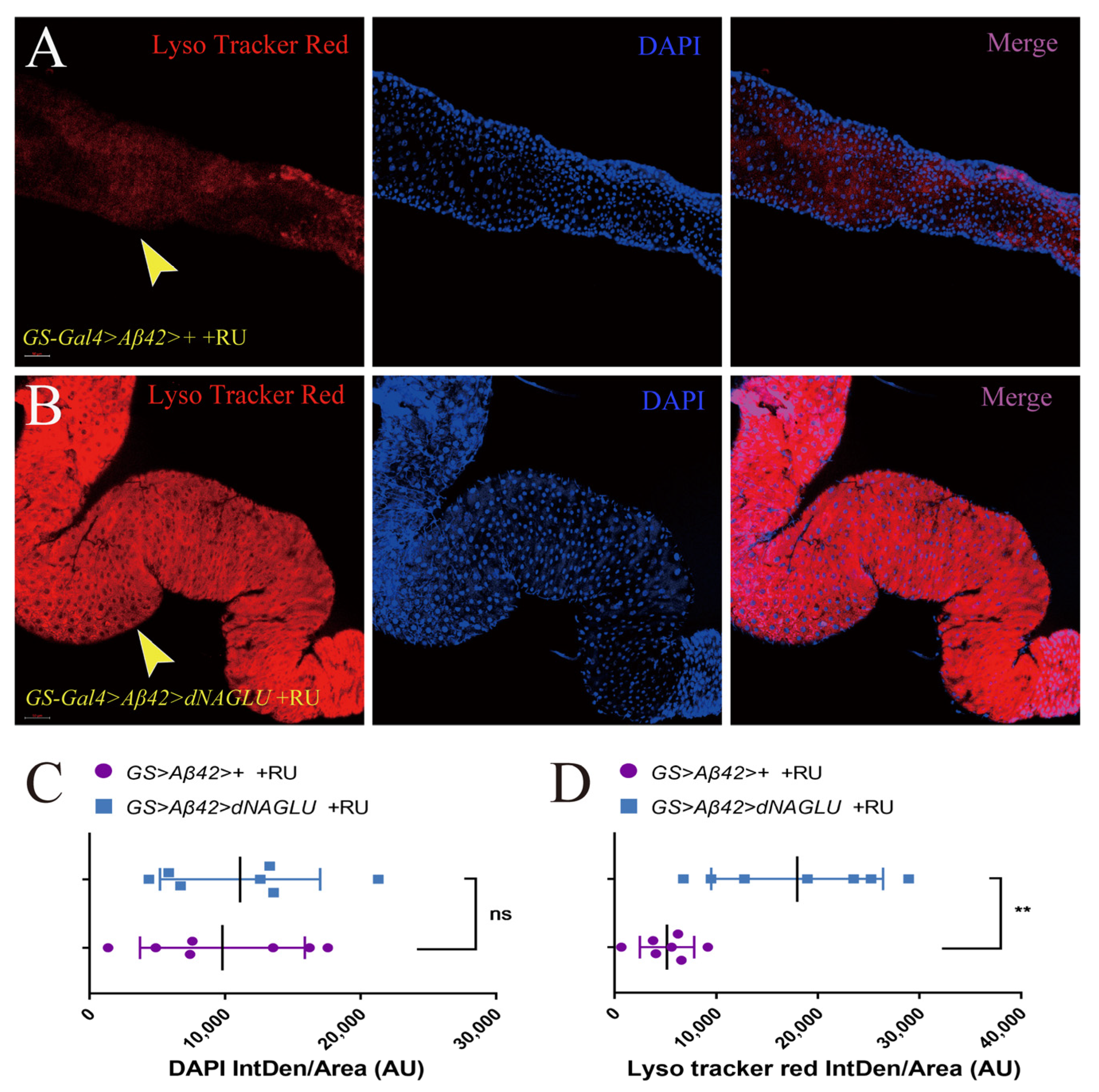 Ijms 23 14433 g005 Ijms 23 14433 g005