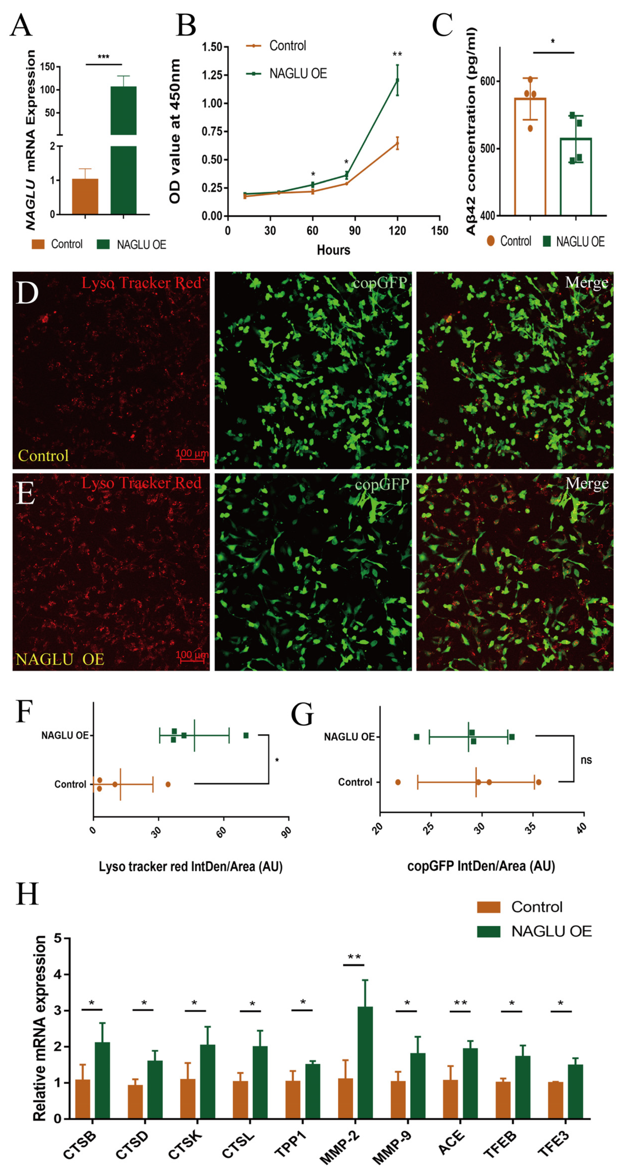 Ijms 23 14433 g006 Ijms 23 14433 g006