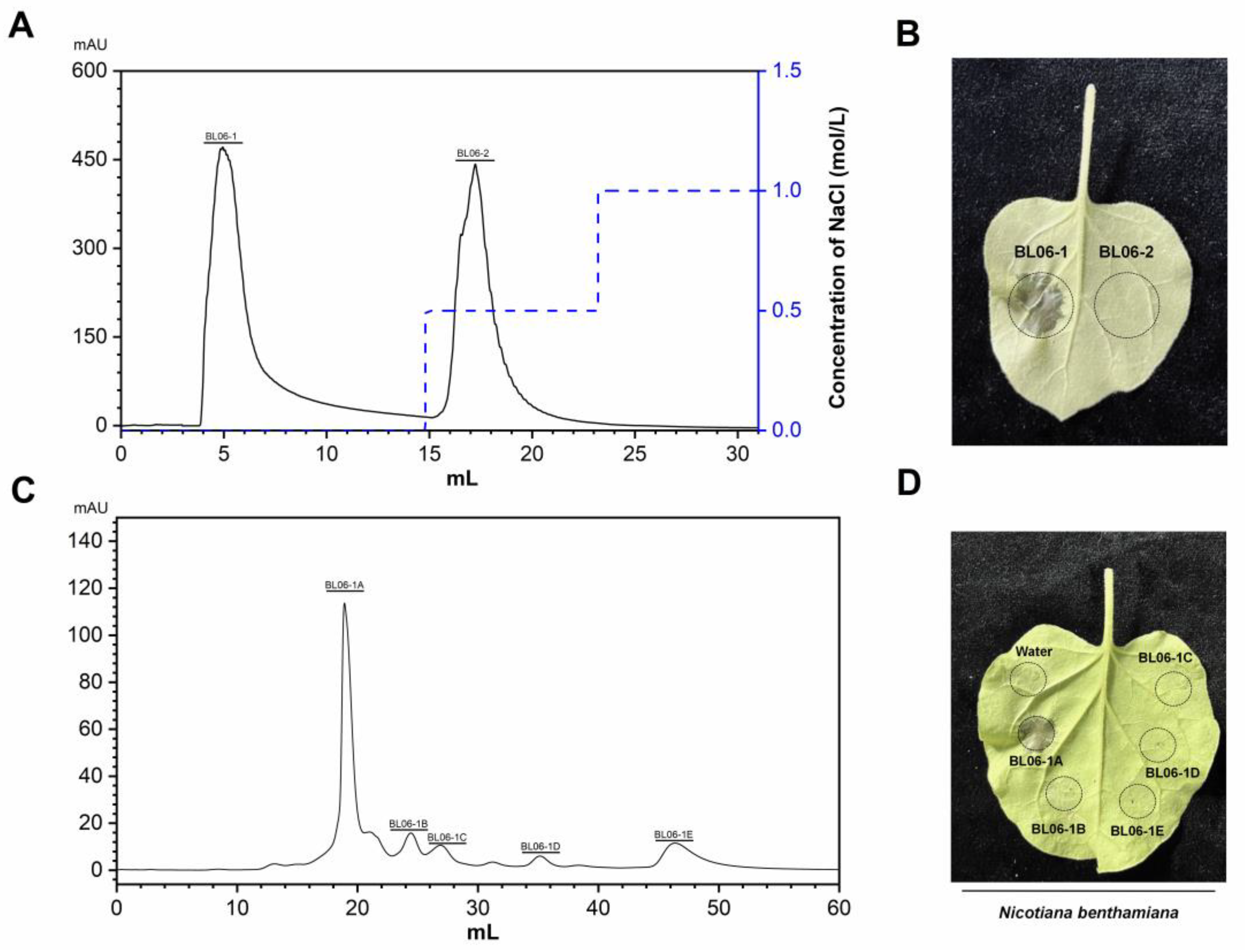 Ijms 23 14435 g001 Ijms 23 14435 g001
