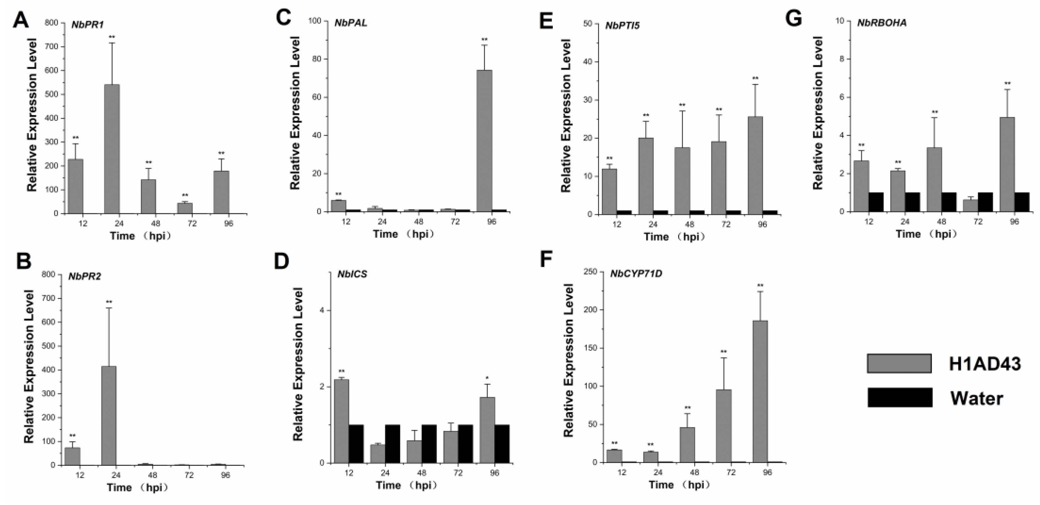 Ijms 23 14435 g006 Ijms 23 14435 g006