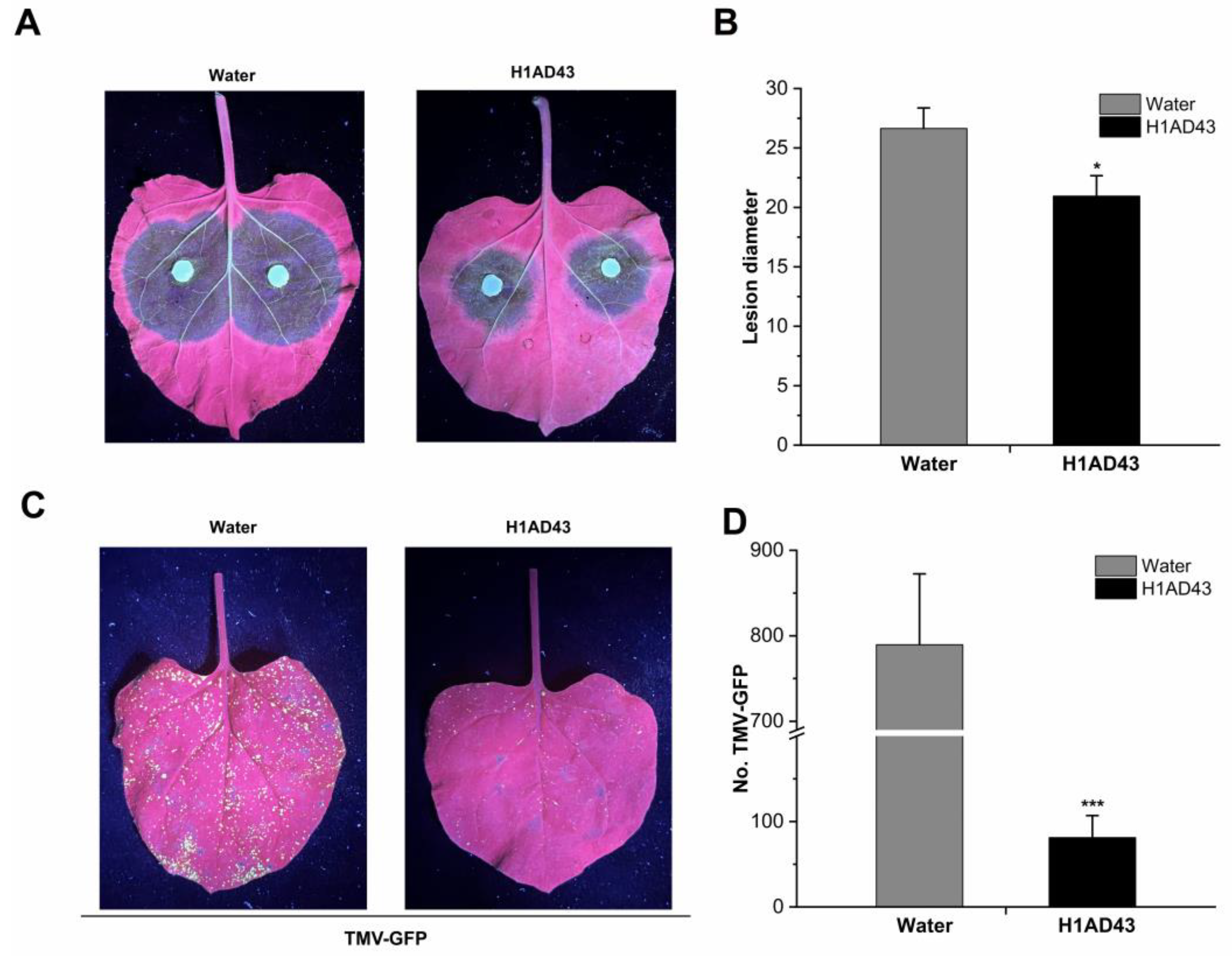 Ijms 23 14435 g007 Ijms 23 14435 g007