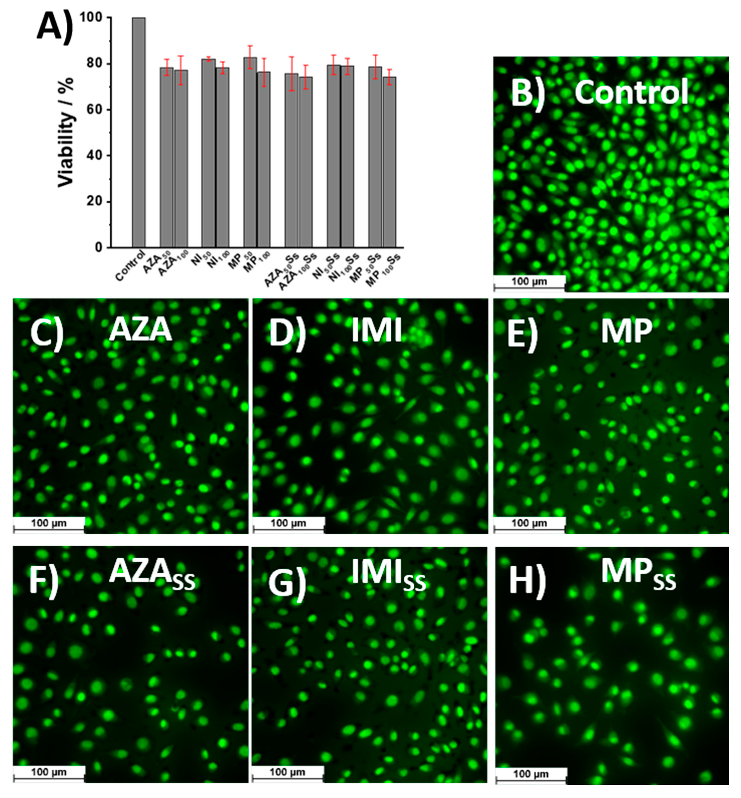 Ijms 23 14438 g007 Ijms 23 14438 g007