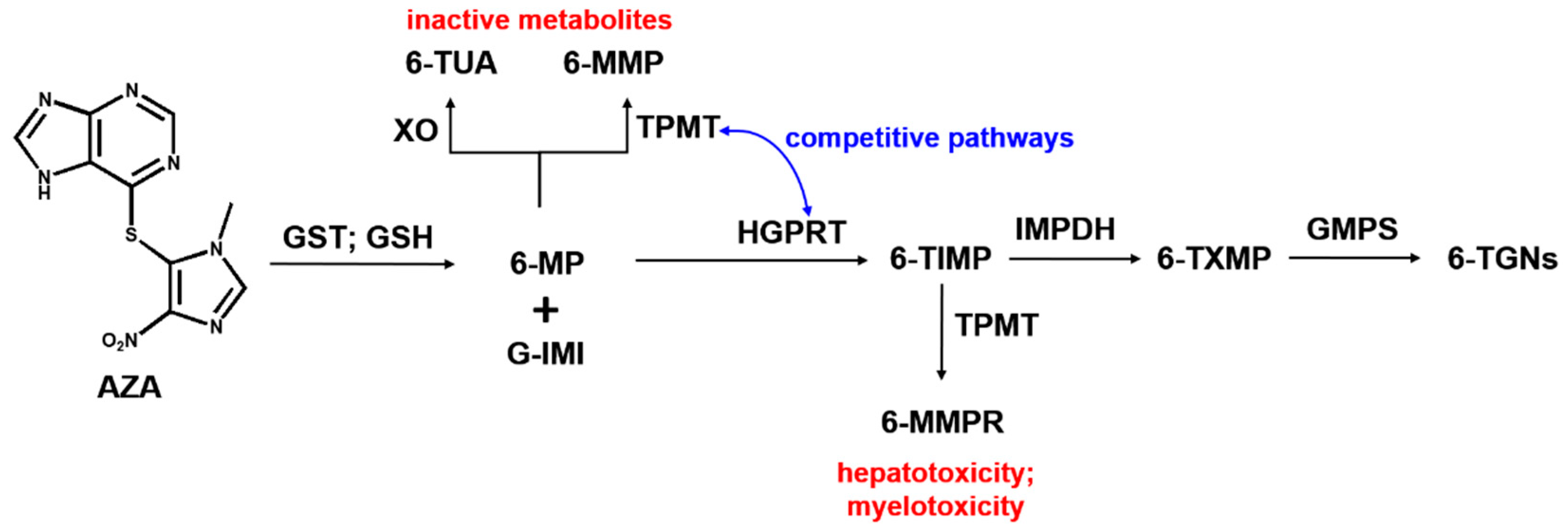 Ijms 23 14438 sch001 Ijms 23 14438 sch001