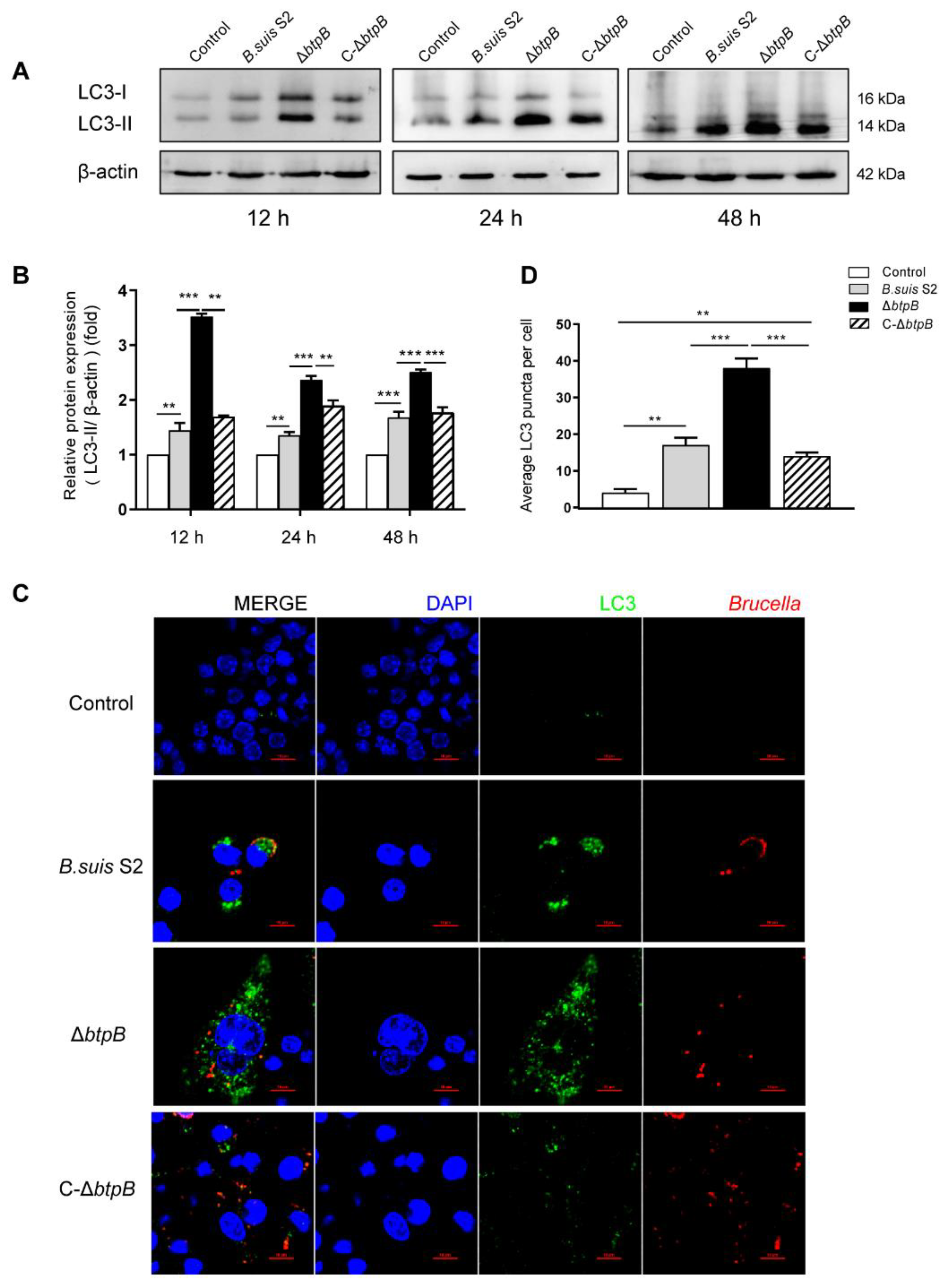 Ijms 23 14439 g002 Ijms 23 14439 g002