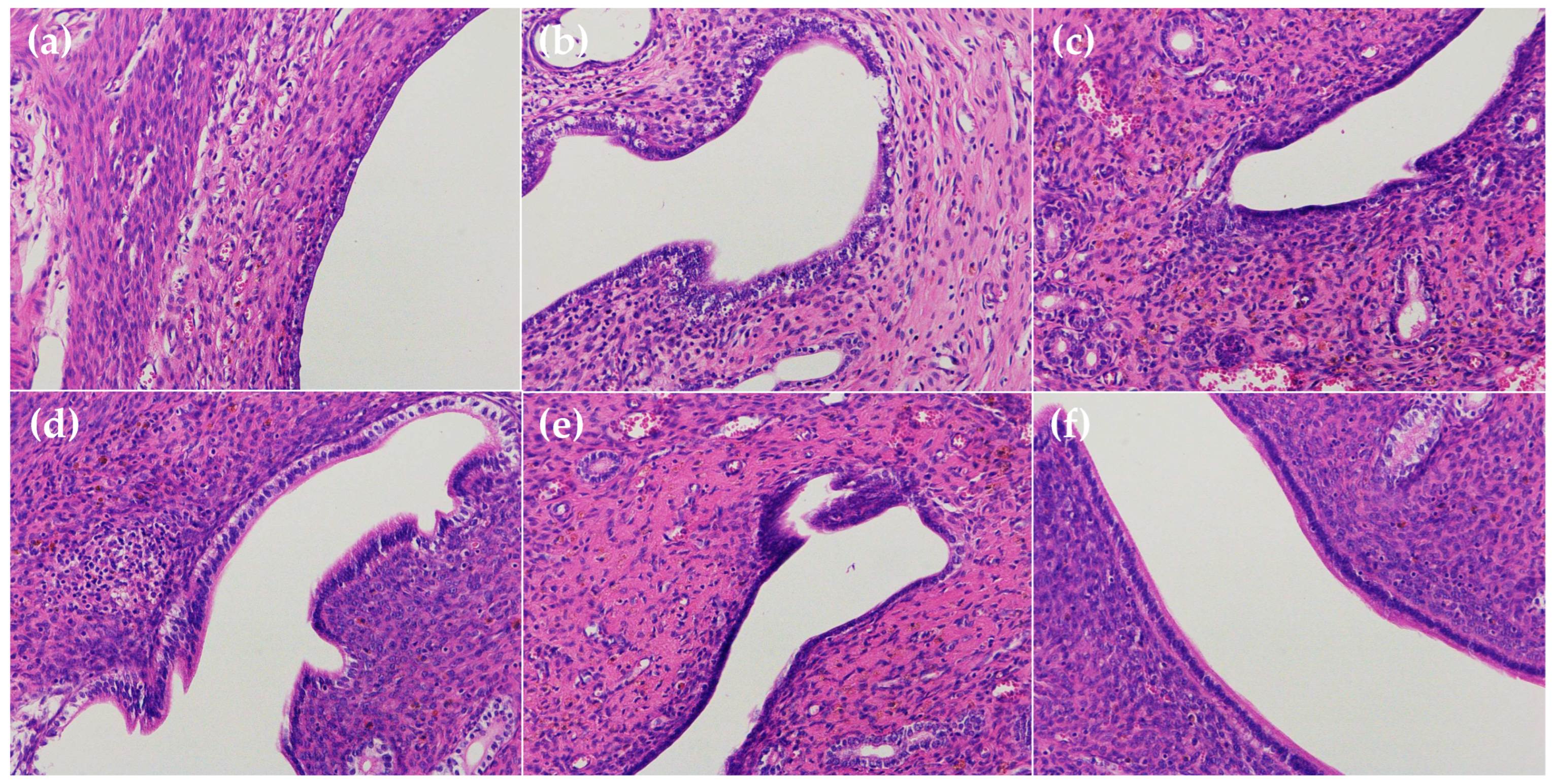 Ijms 23 14451 g008 Ijms 23 14451 g008