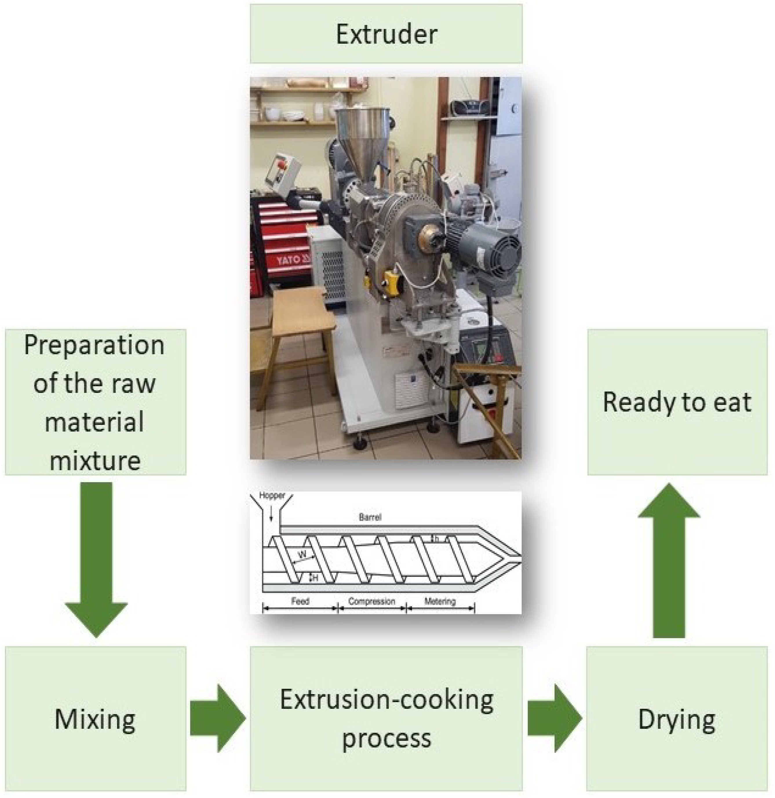 Ijms 23 14458 g003 Ijms 23 14458 g003