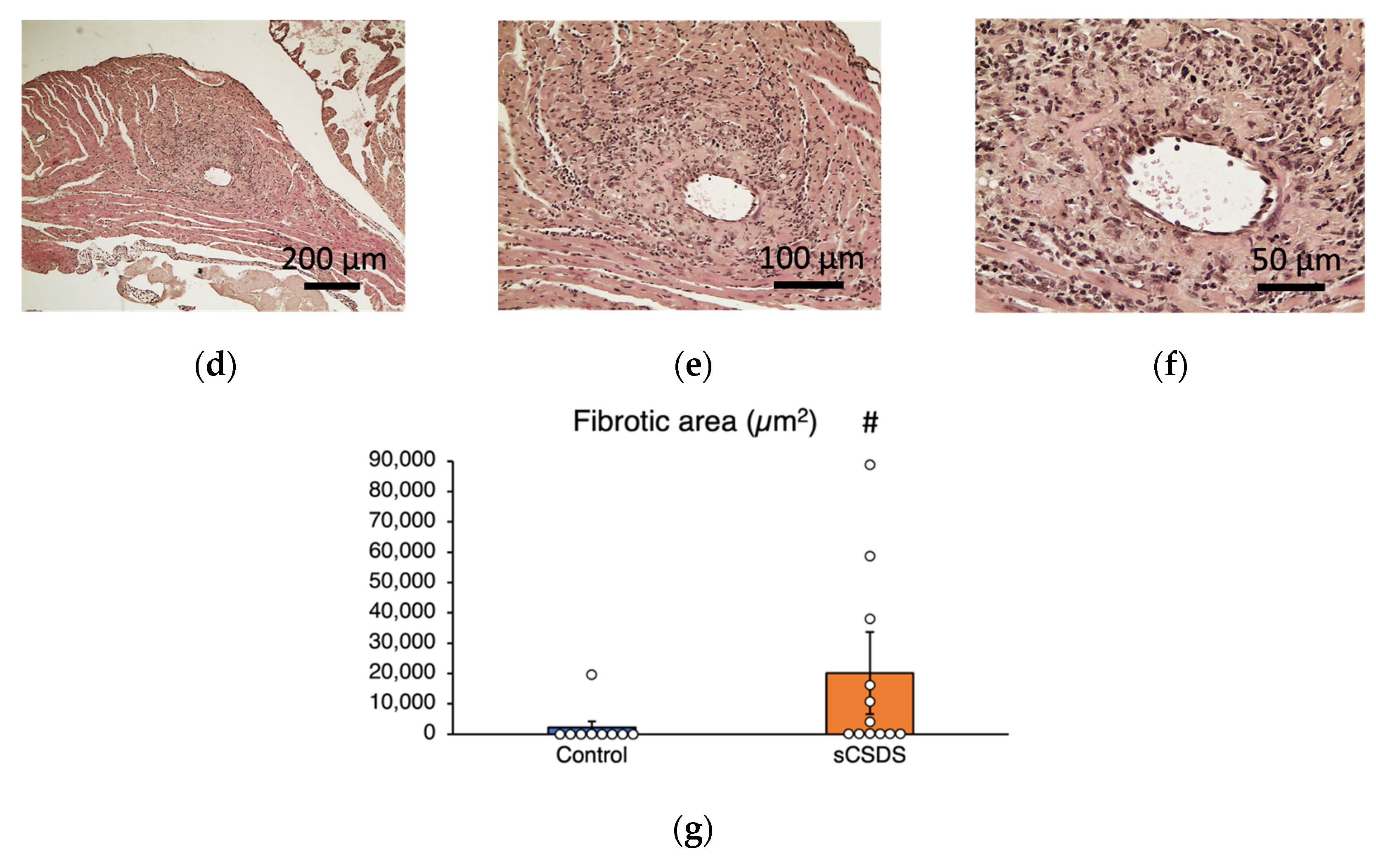 Ijms 23 14479 g003b Ijms 23 14479 g003b