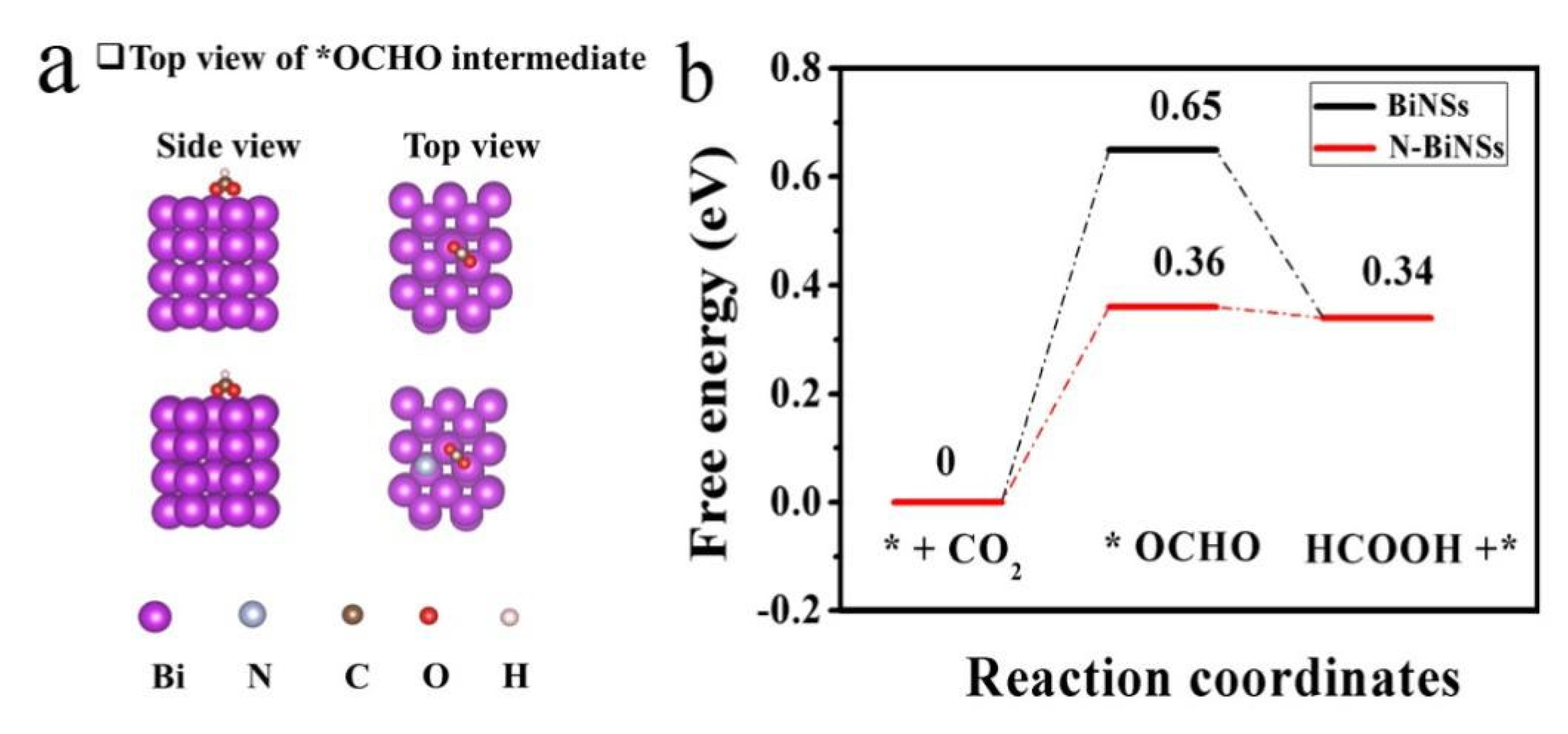 Ijms 23 14485 g006 Ijms 23 14485 g006