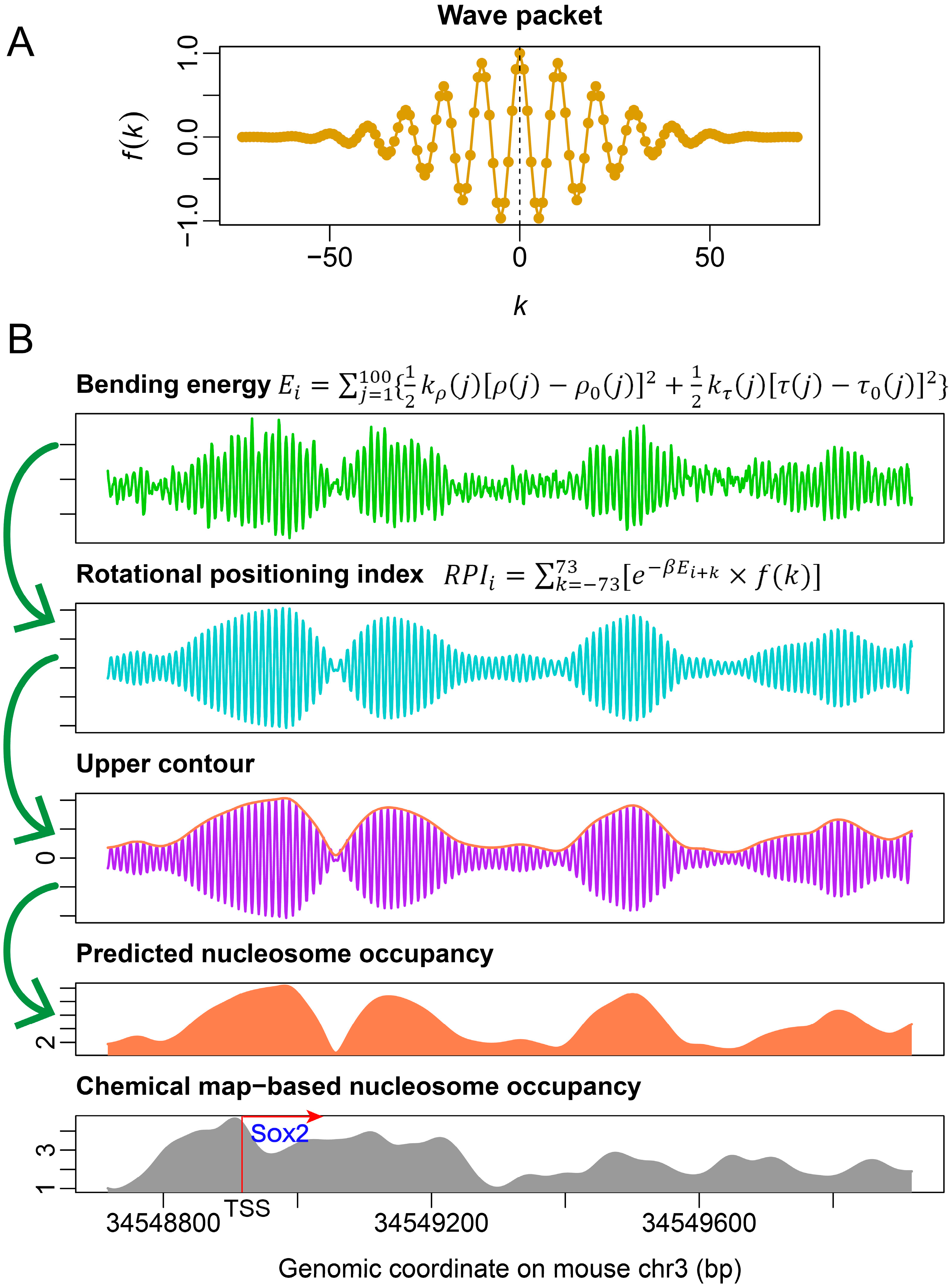 Ijms 23 14488 g009 Ijms 23 14488 g009
