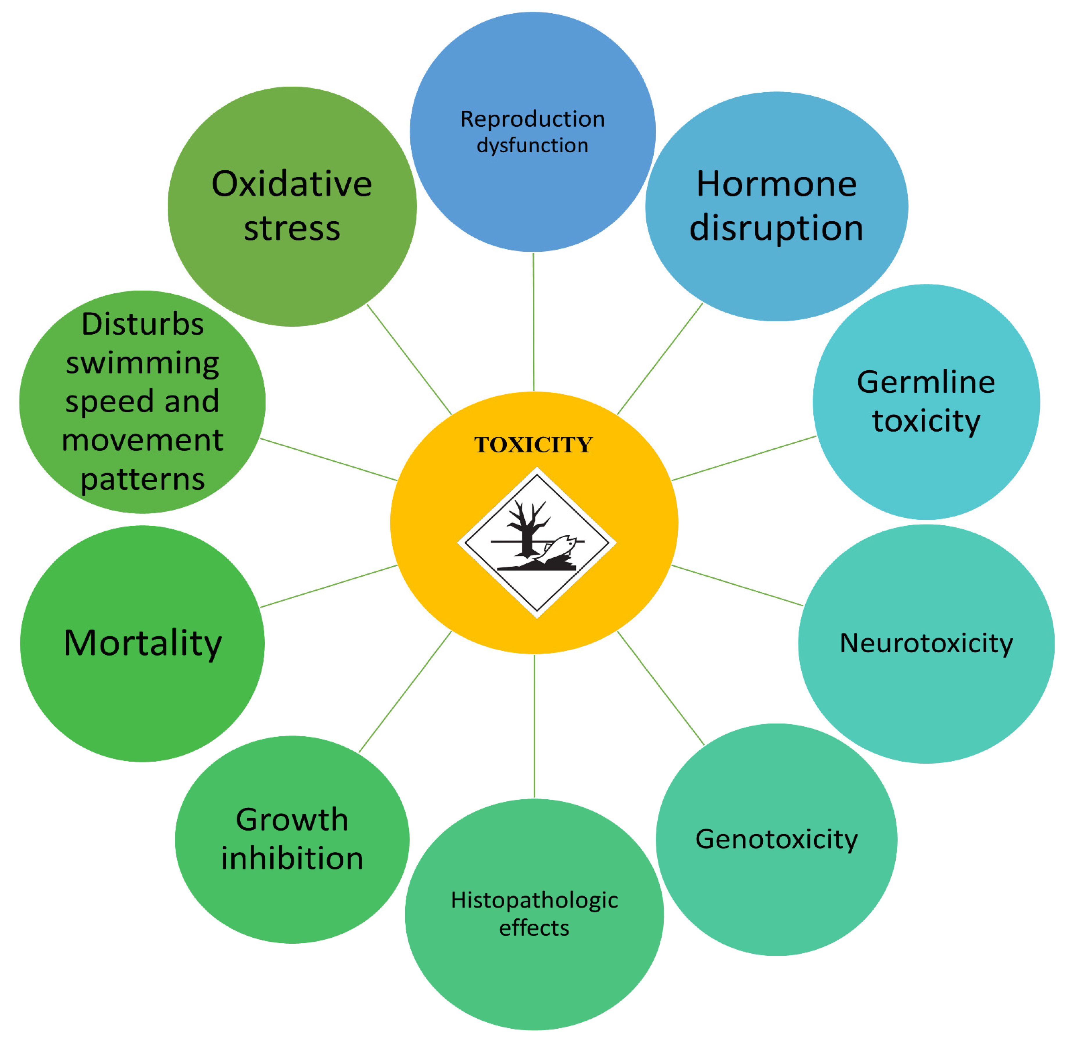 Ijms 23 14495 g002 Ijms 23 14495 g002