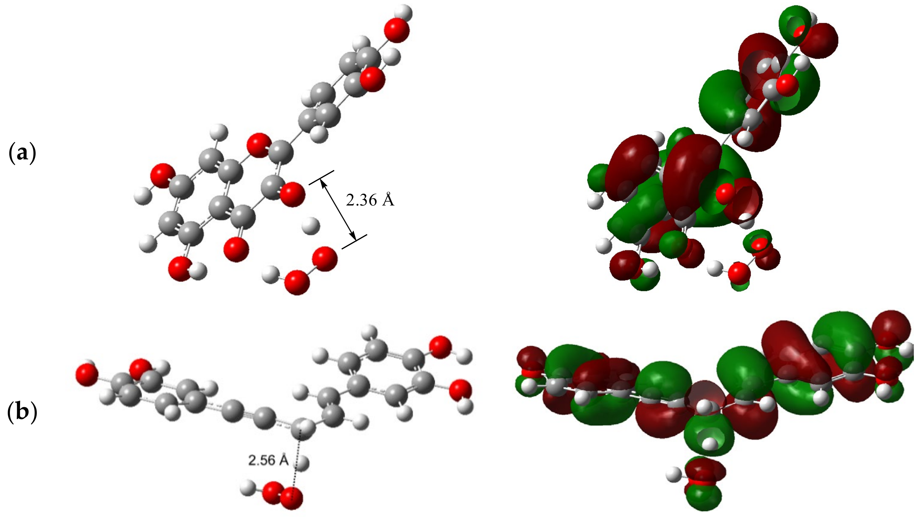 Ijms 23 14497 g003 Ijms 23 14497 g003