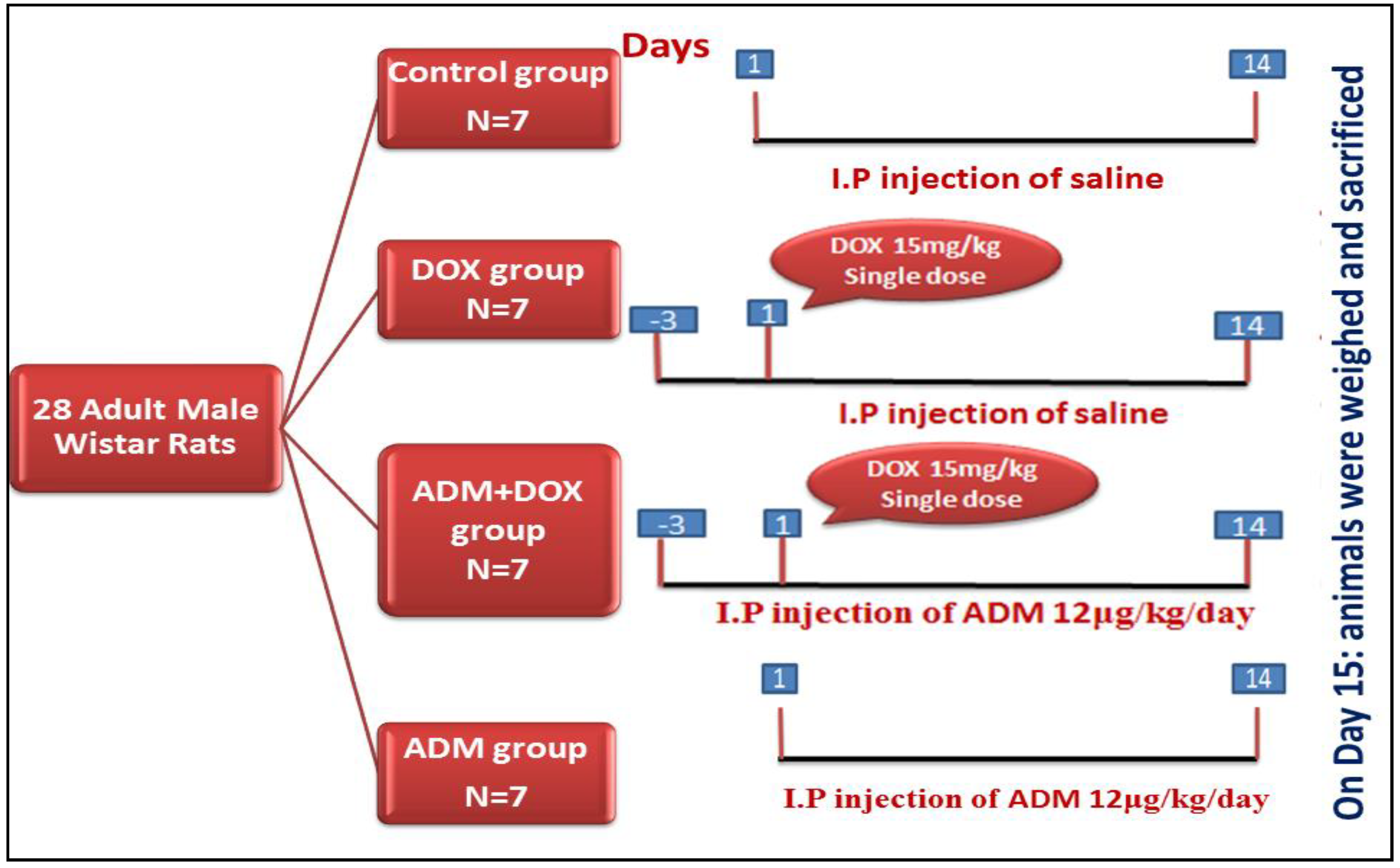 Ijms 23 14570 g001 Ijms 23 14570 g001