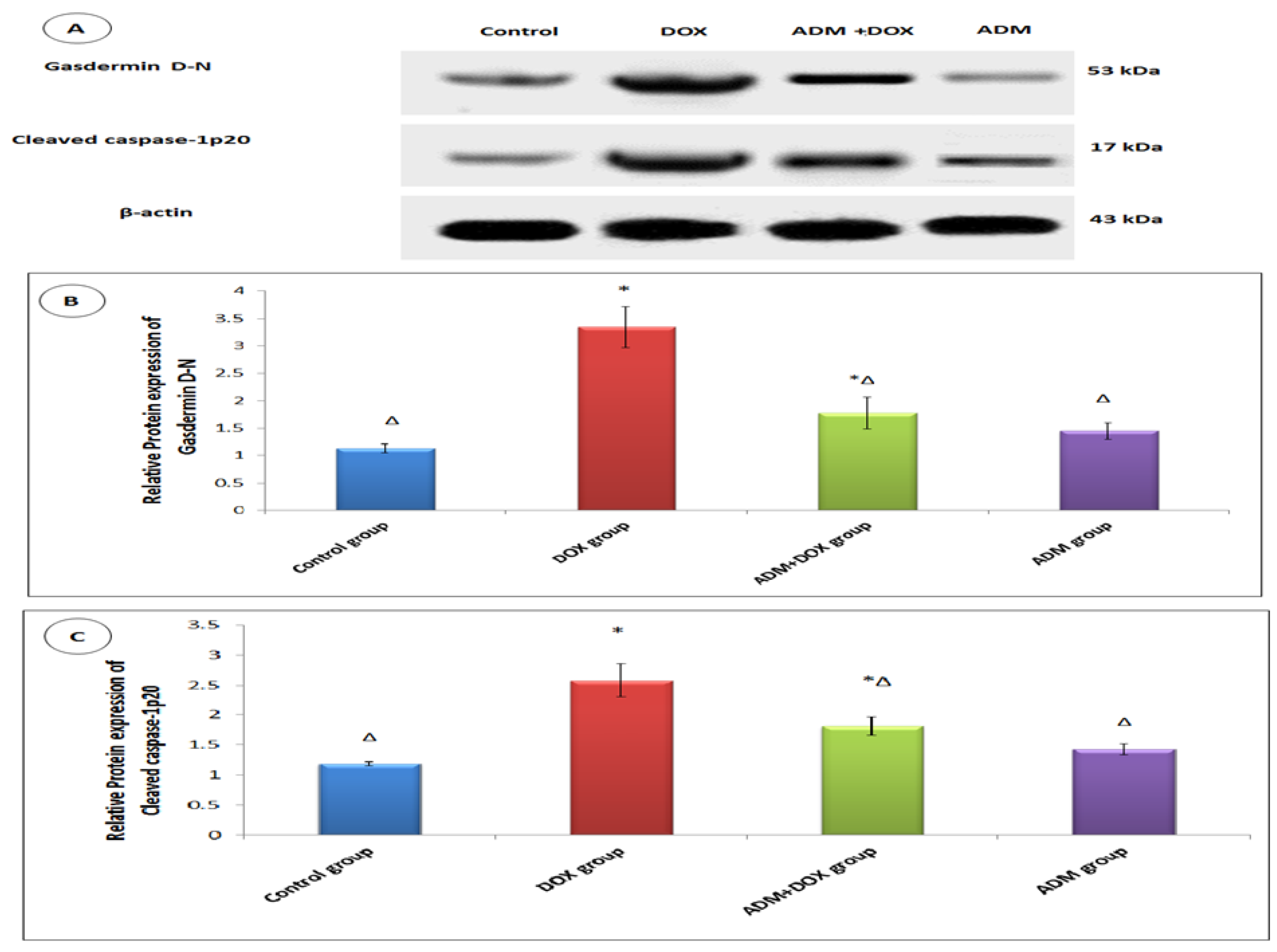 Ijms 23 14570 g004 Ijms 23 14570 g004
