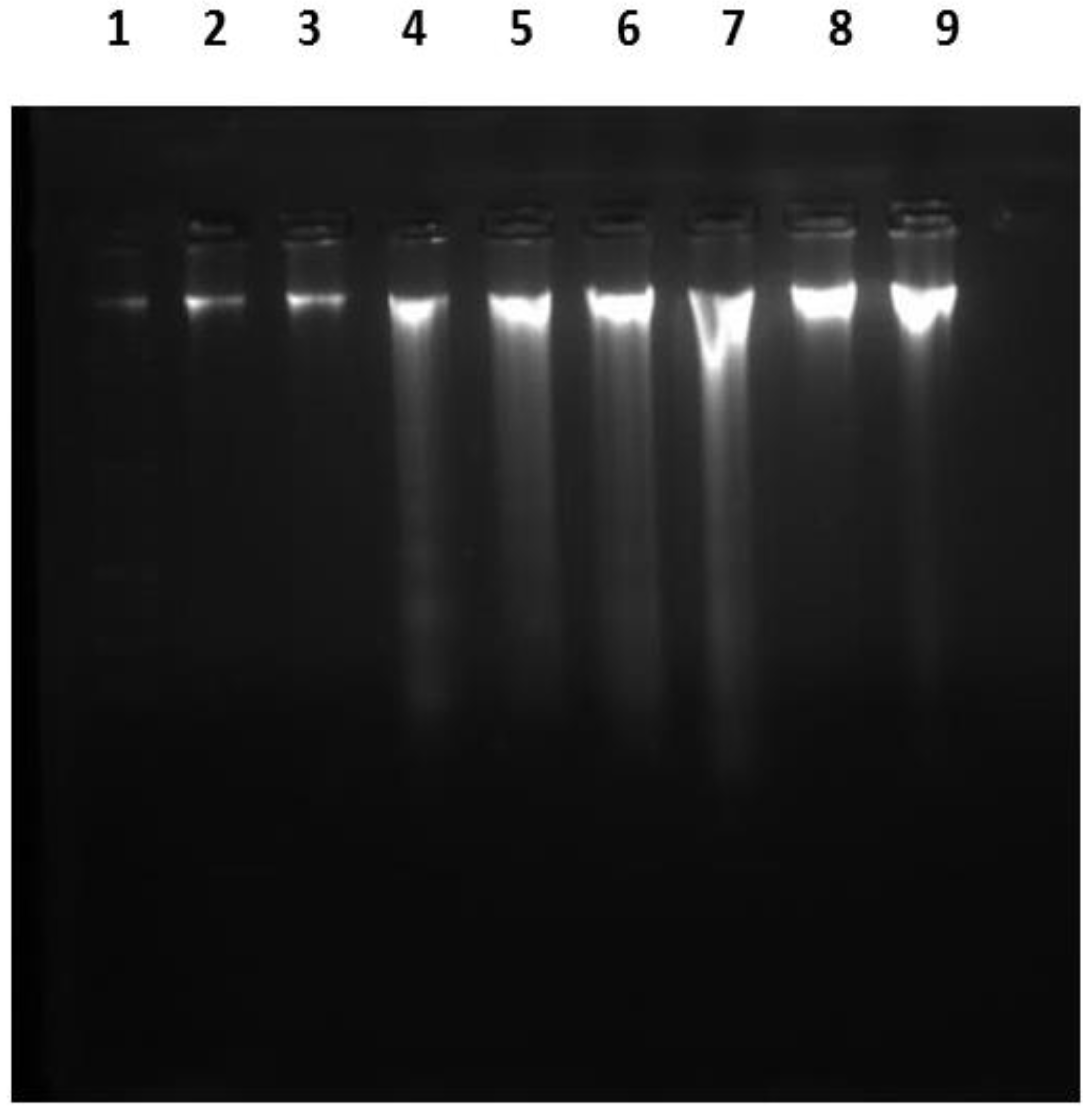 Ijms 23 14570 g005 Ijms 23 14570 g005