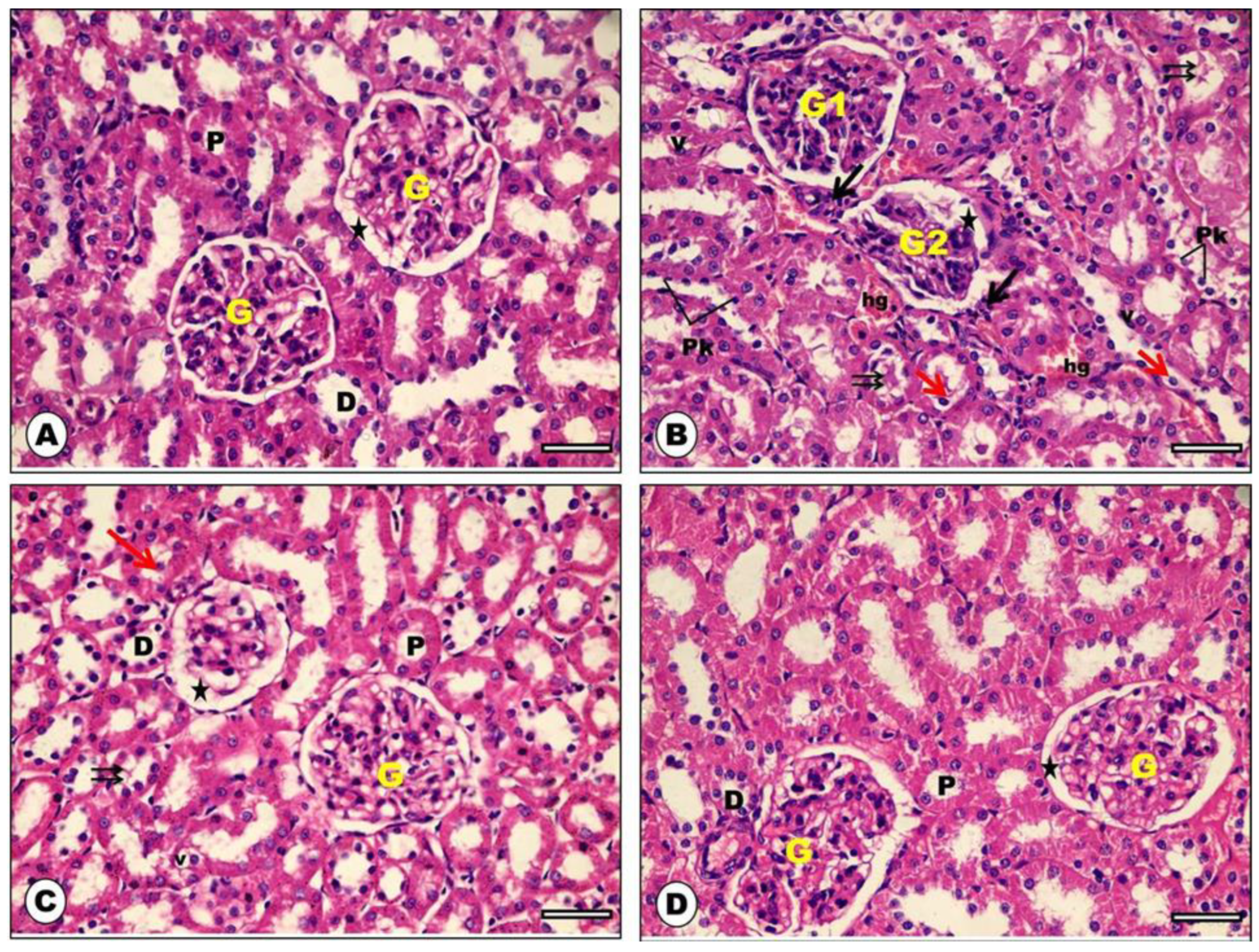 Ijms 23 14570 g006 Ijms 23 14570 g006