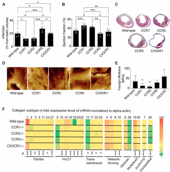 Endogenous Modulation of Extracellular Matrix Collagen during Scar ...