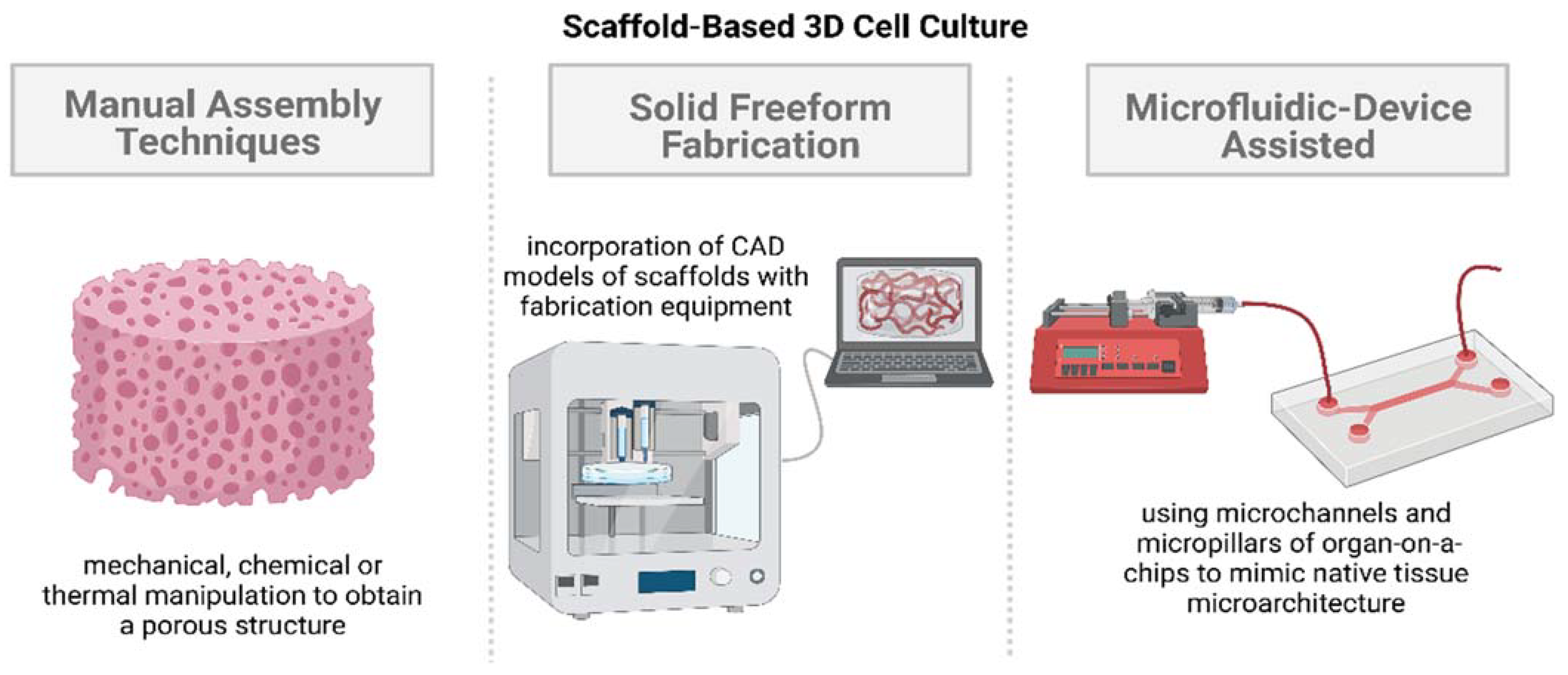 Ijms 23 14582 g002 Ijms 23 14582 g002