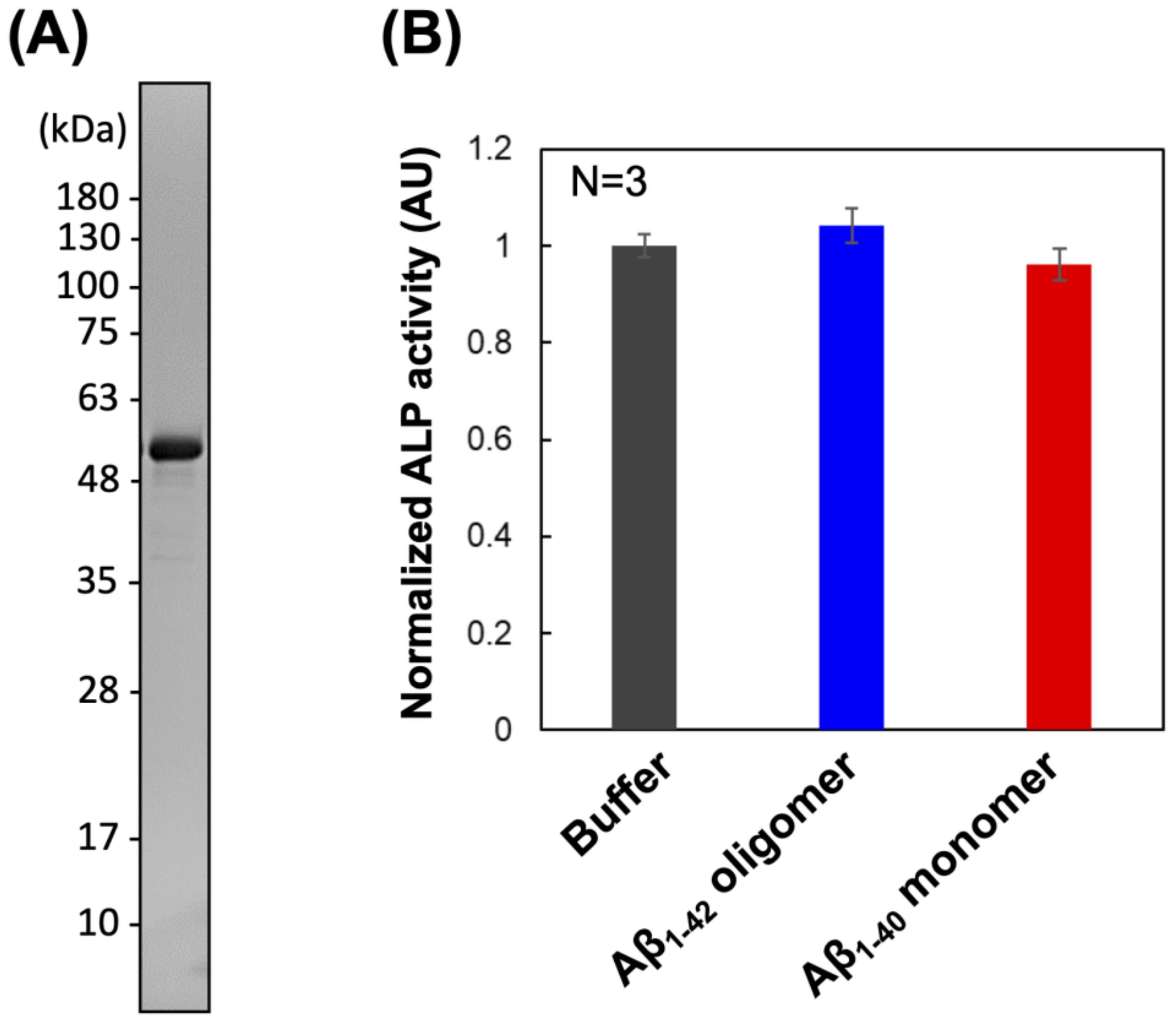 Ijms 23 14588 g001 Ijms 23 14588 g001
