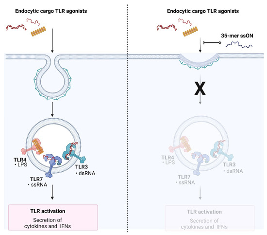 Is There a Role for Immunoregulatory and Antiviral