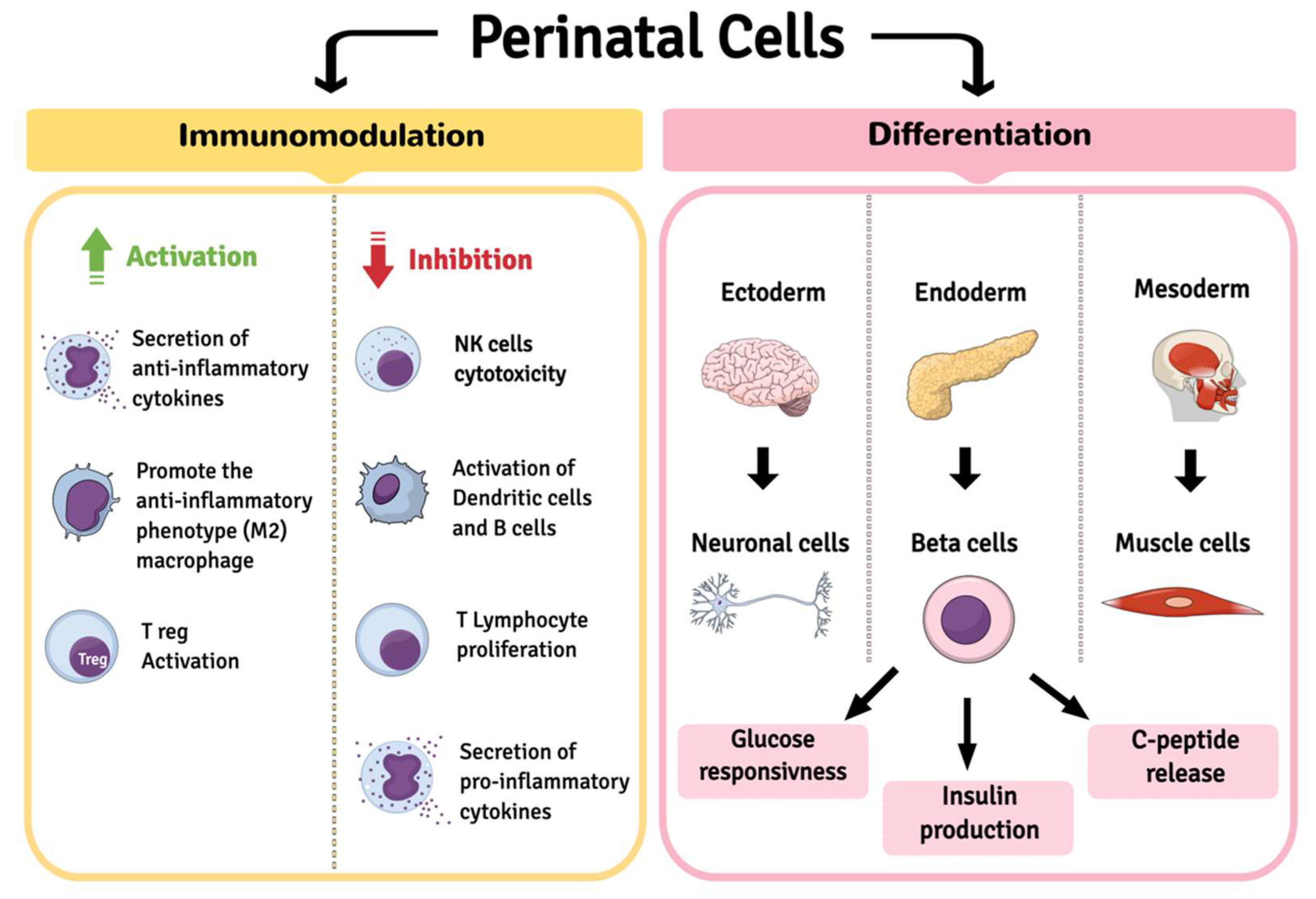 Ijms 23 14597 g001 Ijms 23 14597 g001