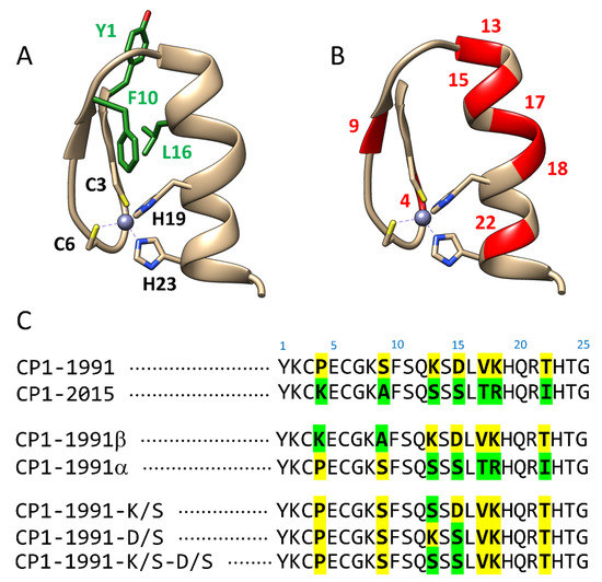 IJMS Free FullText NonConserved Amino Acid Residues Modulate the